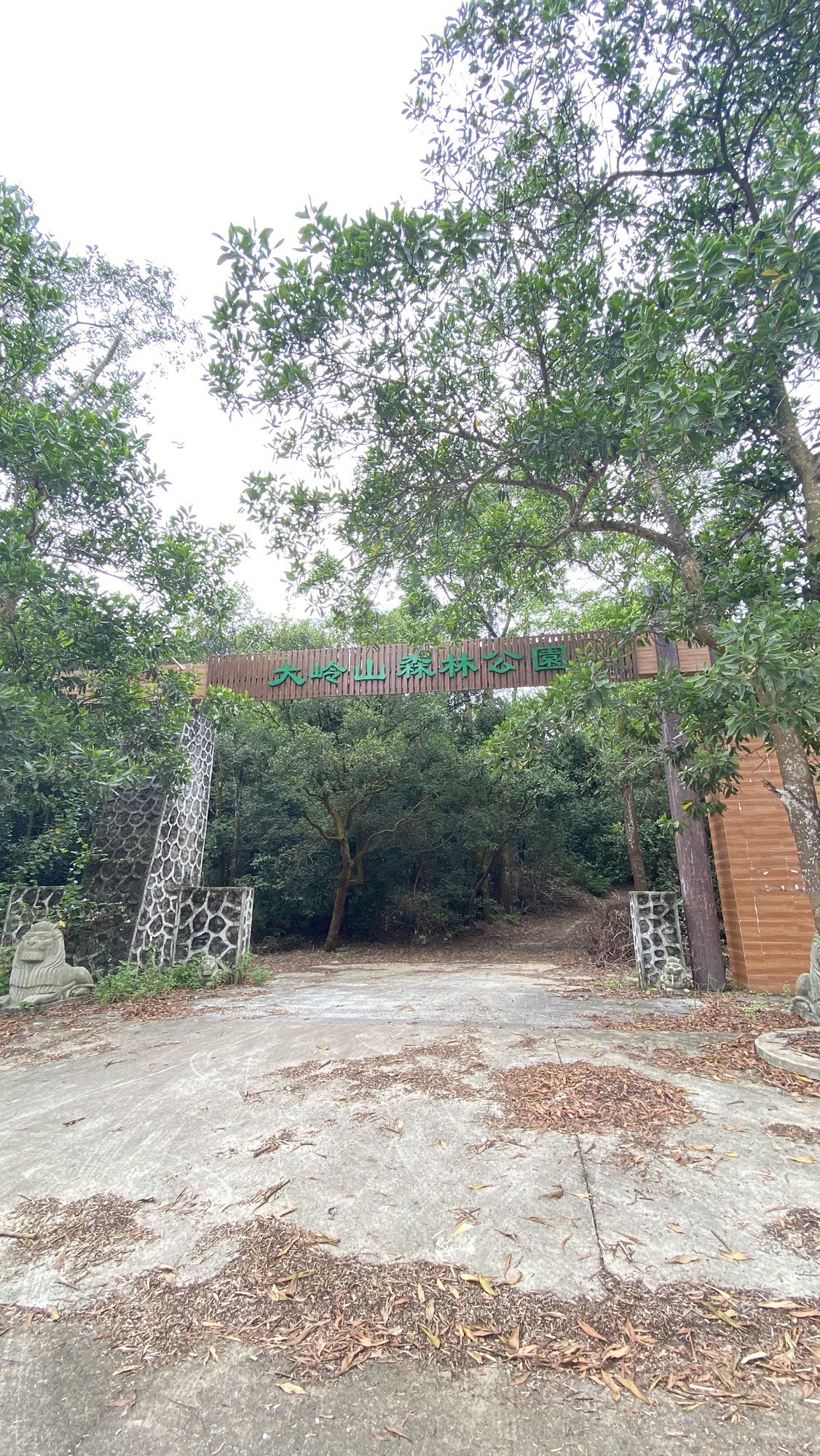 大岭山森林公园旅行图片 2