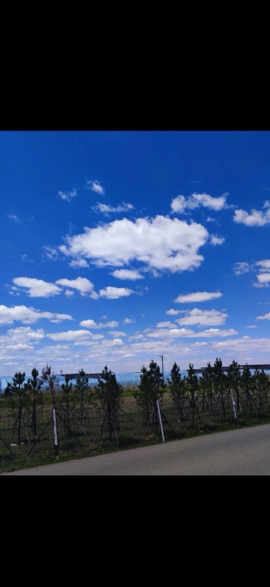 天鹅湖自然风景区(暂停开放)旅行图片 2