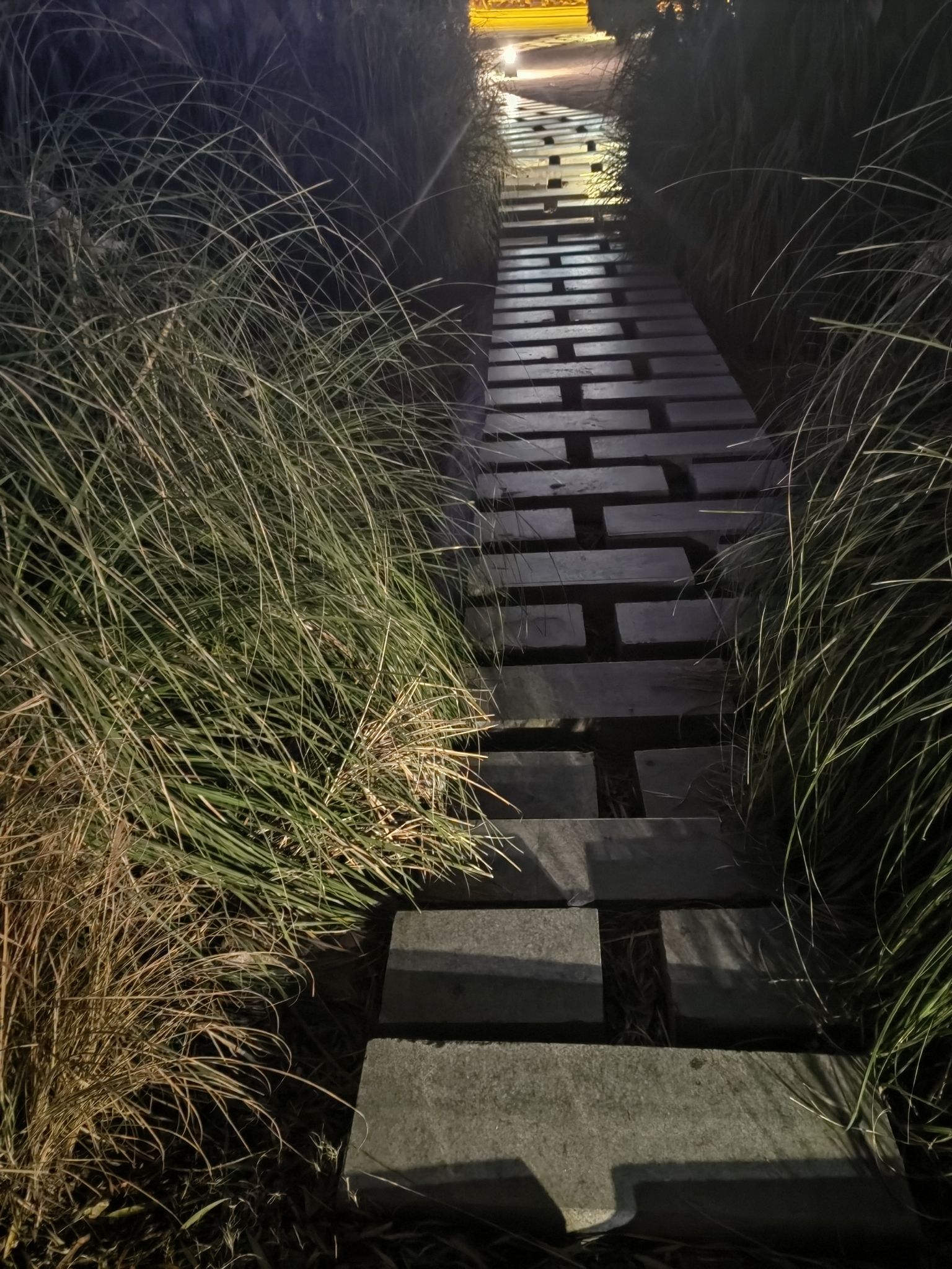 淅川崇德公园旅行图片 1