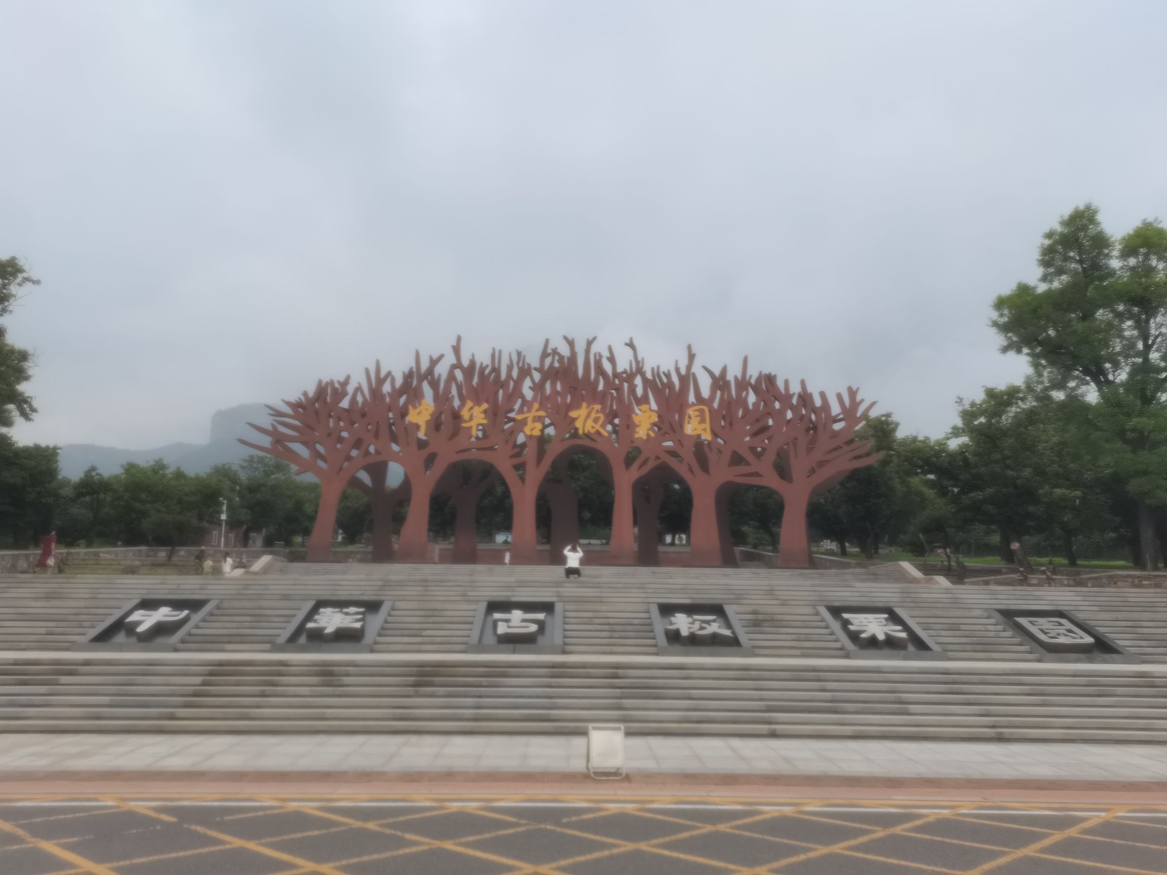 中华古板栗公园旅行图片 1