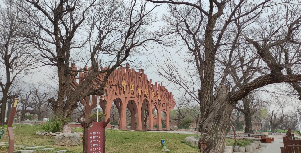 中华古板栗公园旅行图片 1