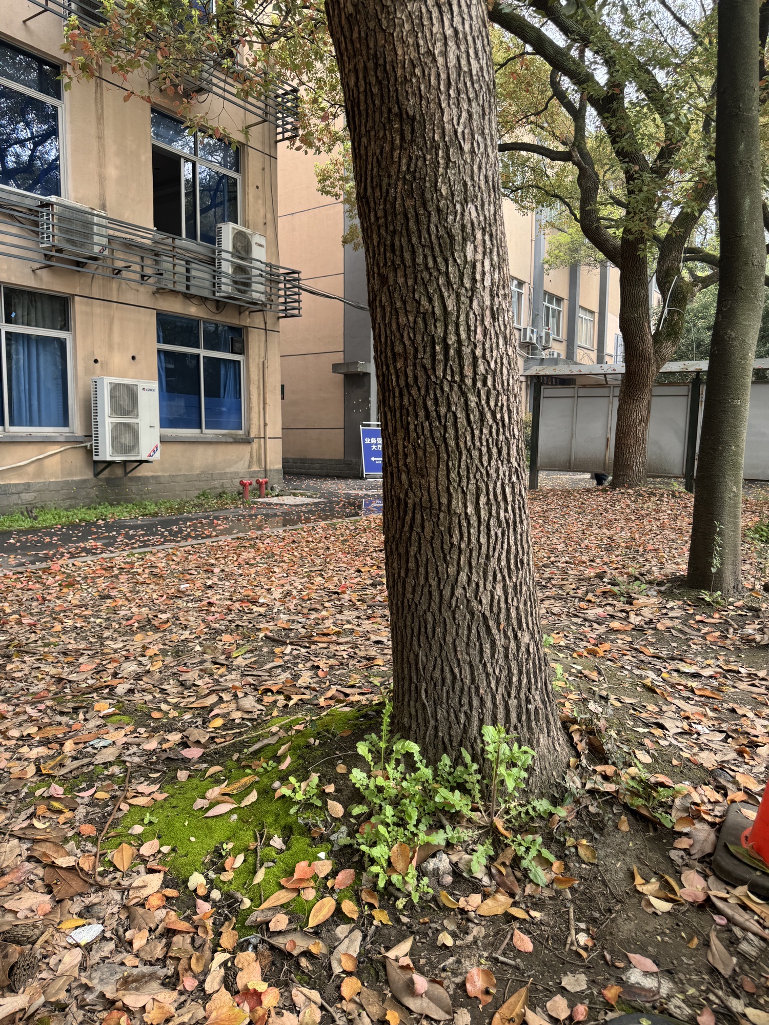 杭州市交通安全教育学校