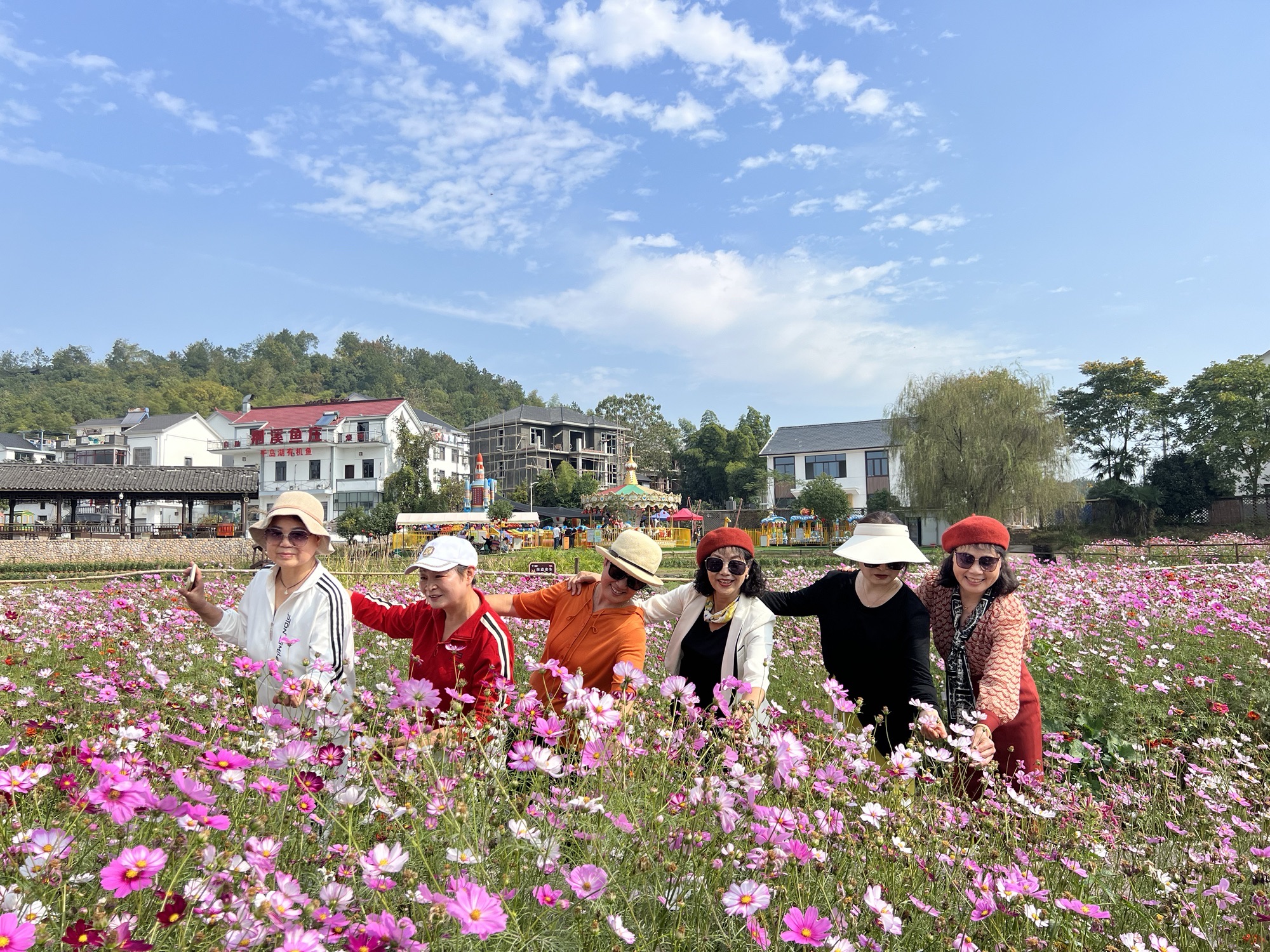 荆溪花海旅行图片 3