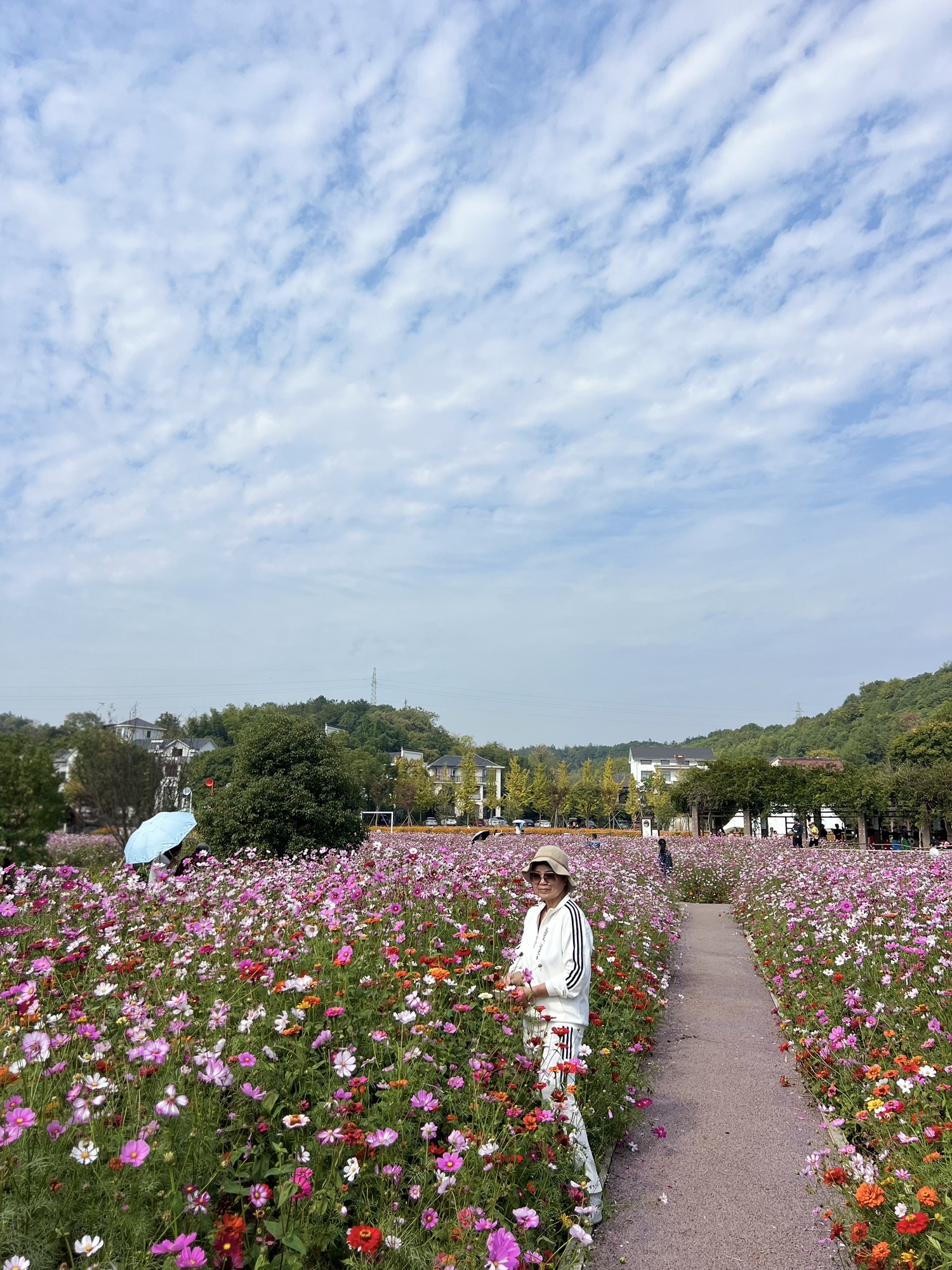 荆溪花海旅行图片 2