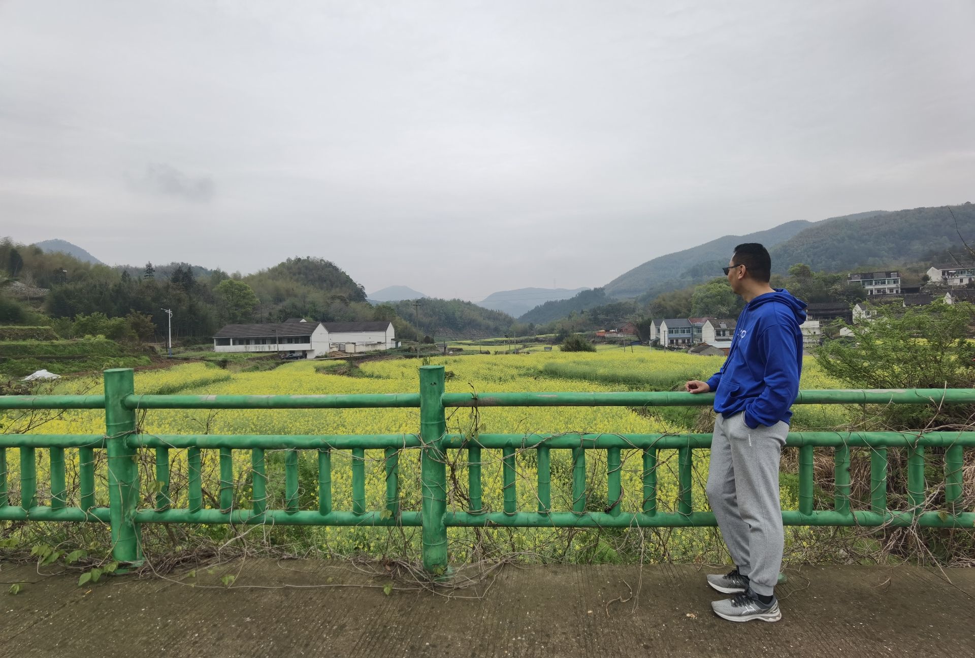 西畈油菜花基地旅行图片 3