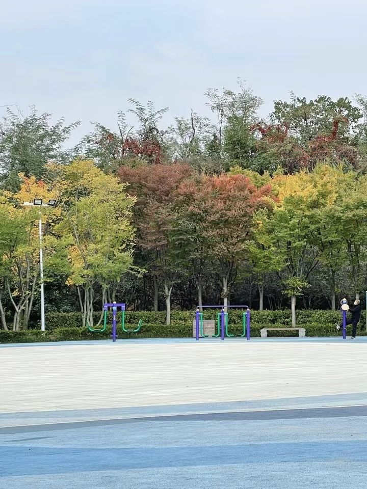 象耳山公园旅行图片 1