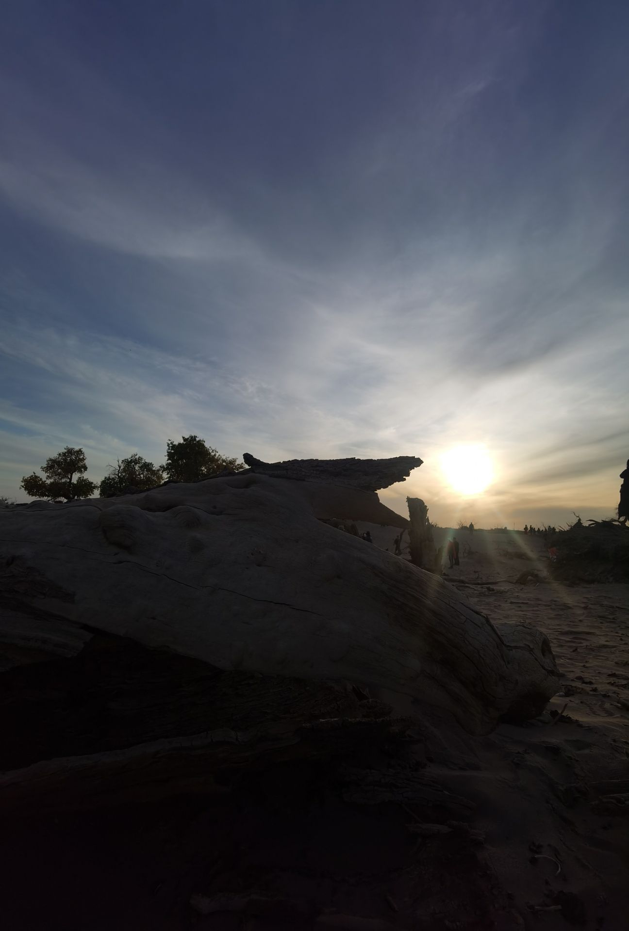 黑城弱水胡杨风景区旅行图片 1