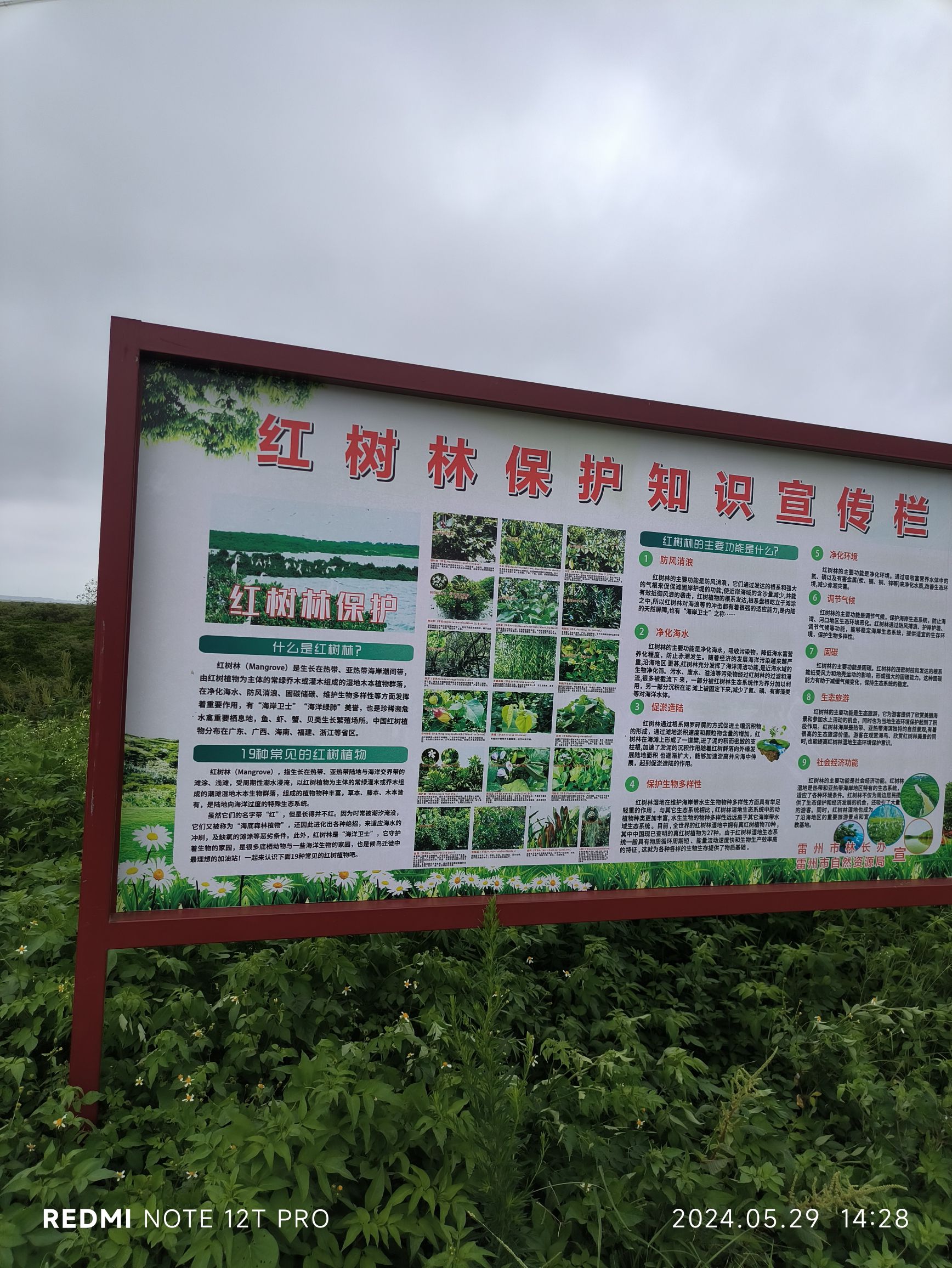 洪流森林公园旅行图片 3