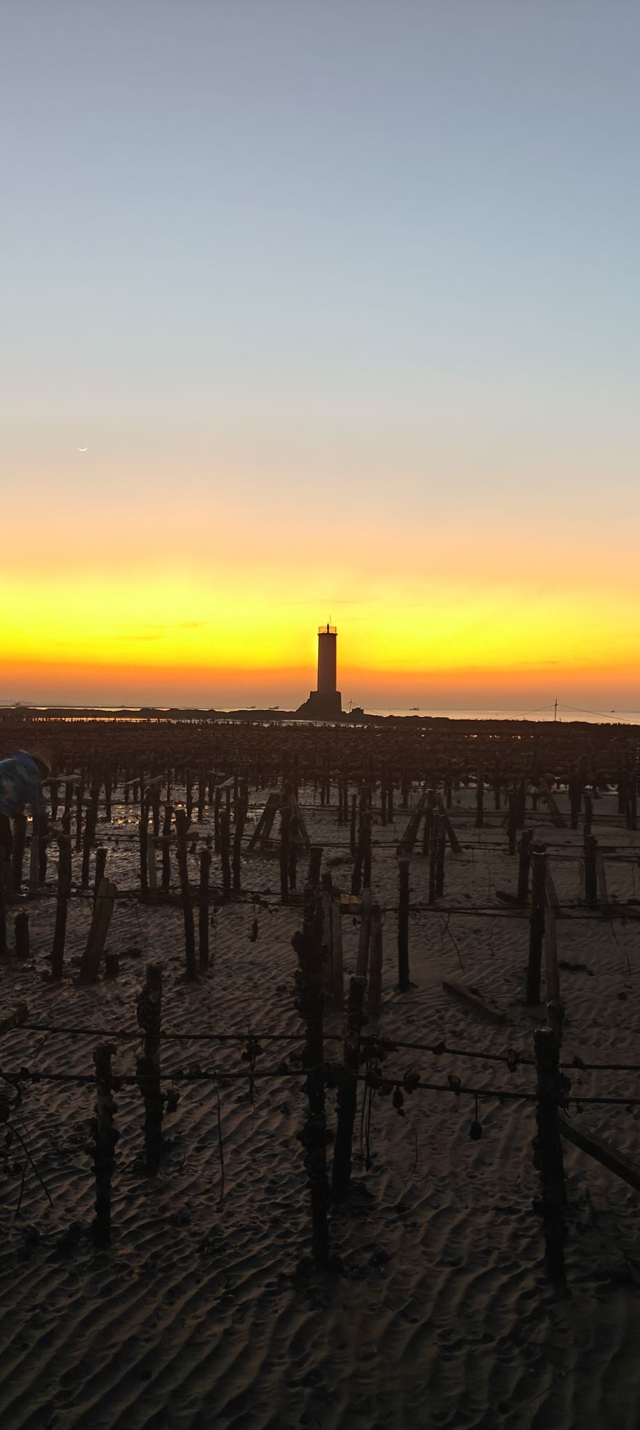 洪流森林公园旅行图片 3