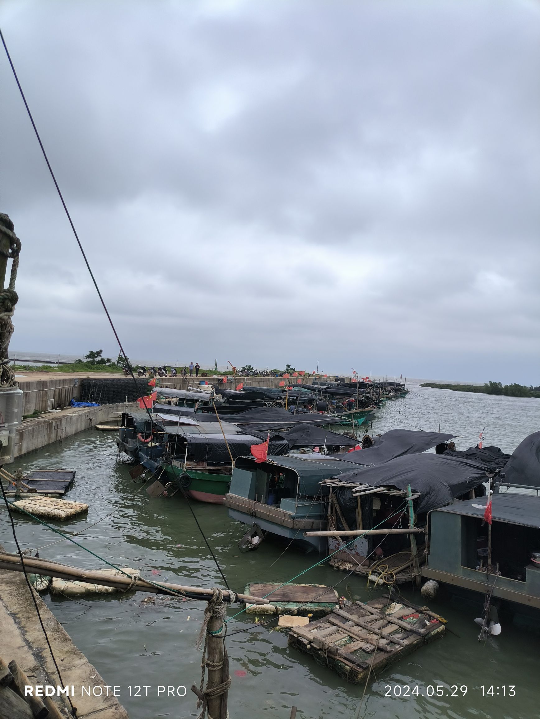 洪流森林公园旅行图片 2