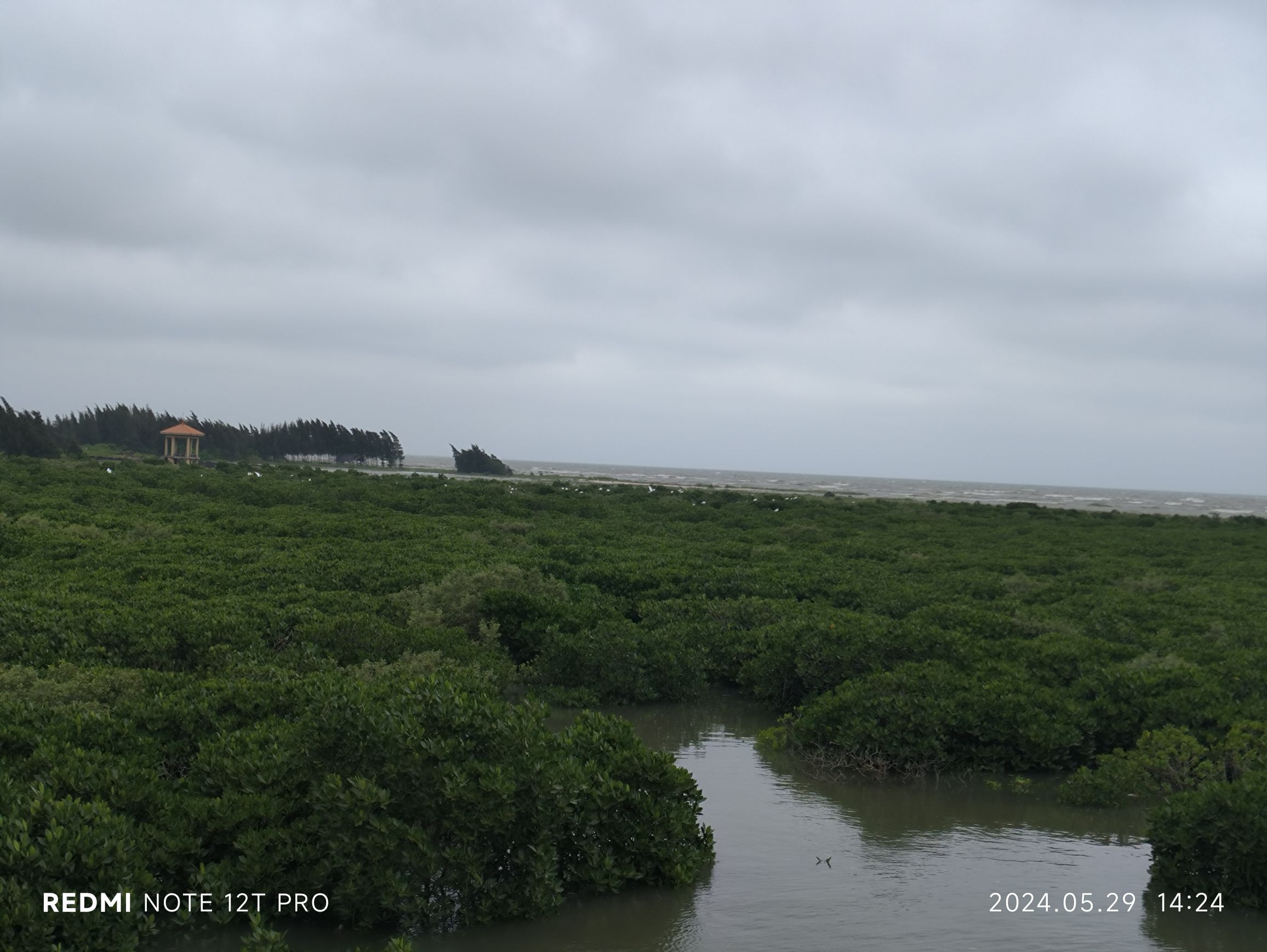 洪流森林公园旅行图片 1