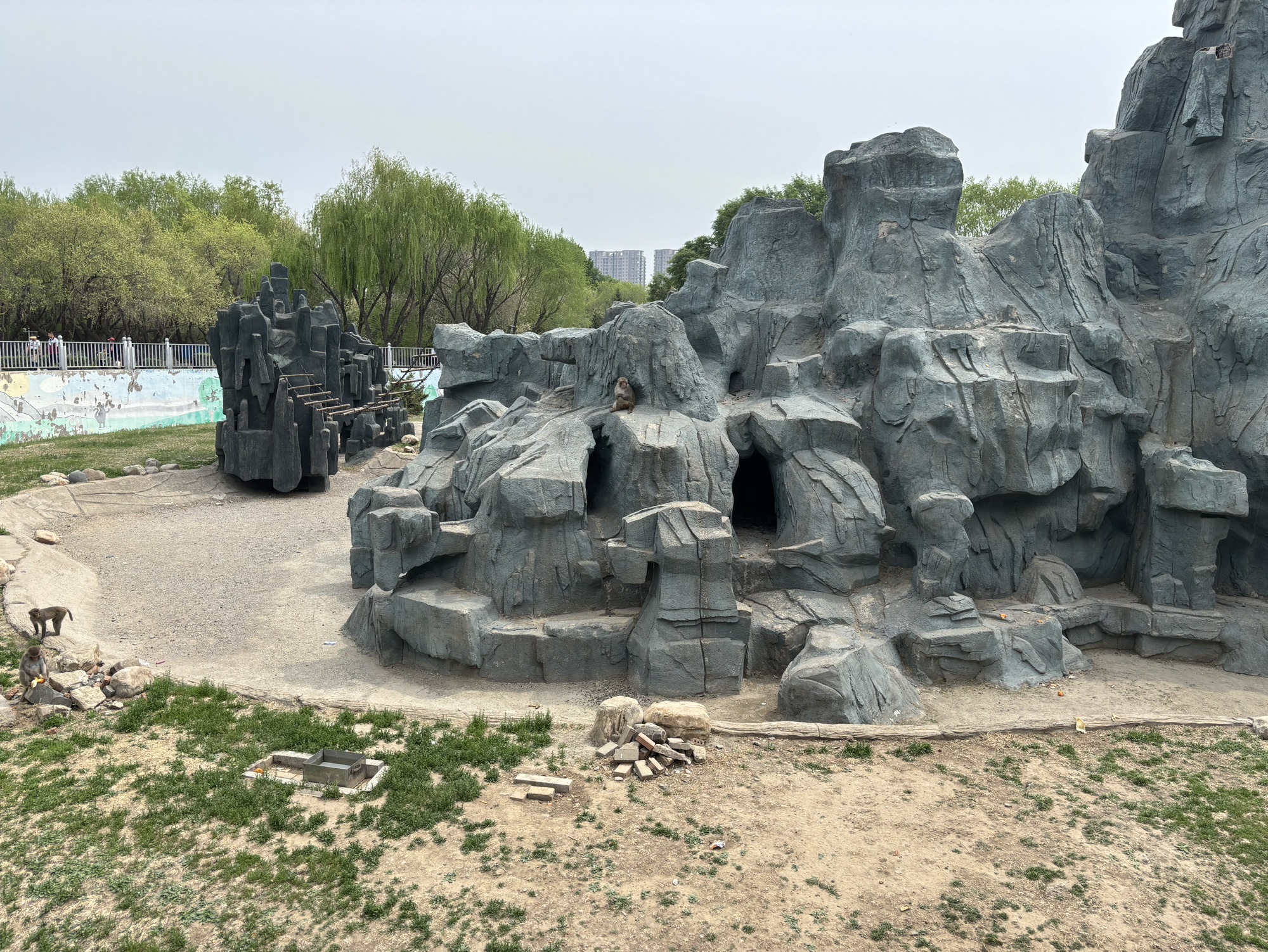 西拉木伦公园旅行图片 3