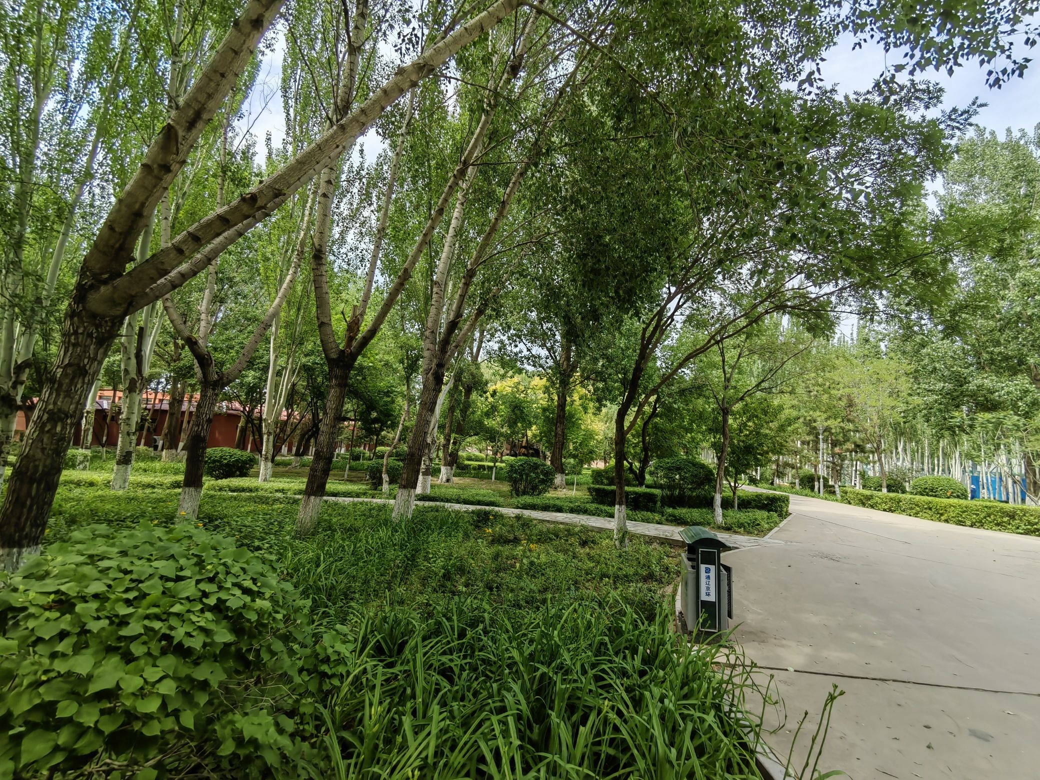 西拉木伦公园旅行图片 2