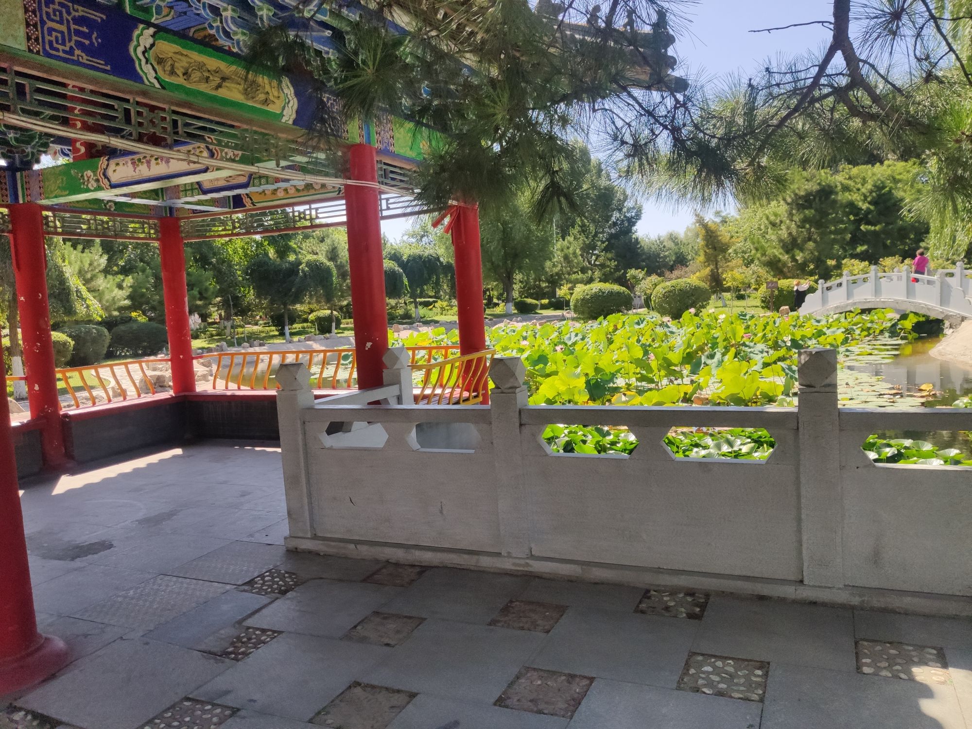 西拉木伦公园旅行图片 2