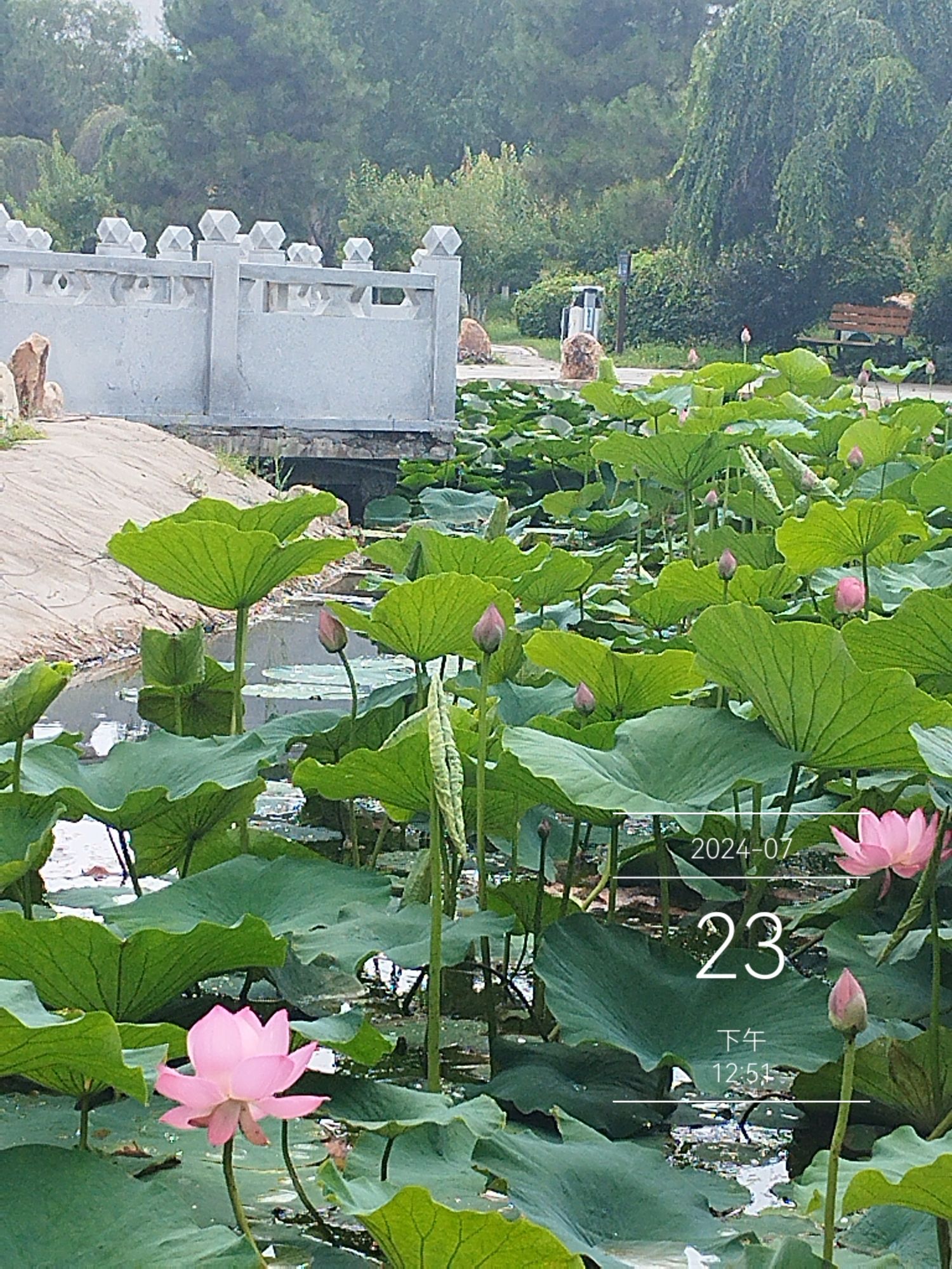 西拉木伦公园旅行图片 2