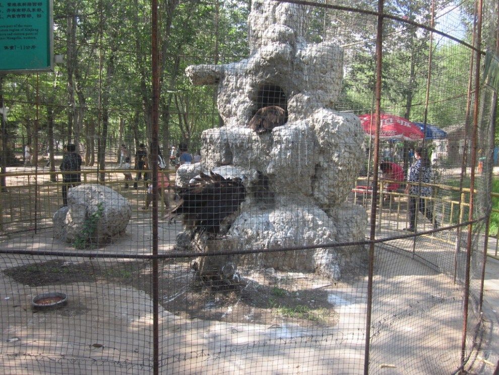 西拉木伦公园旅行图片 3