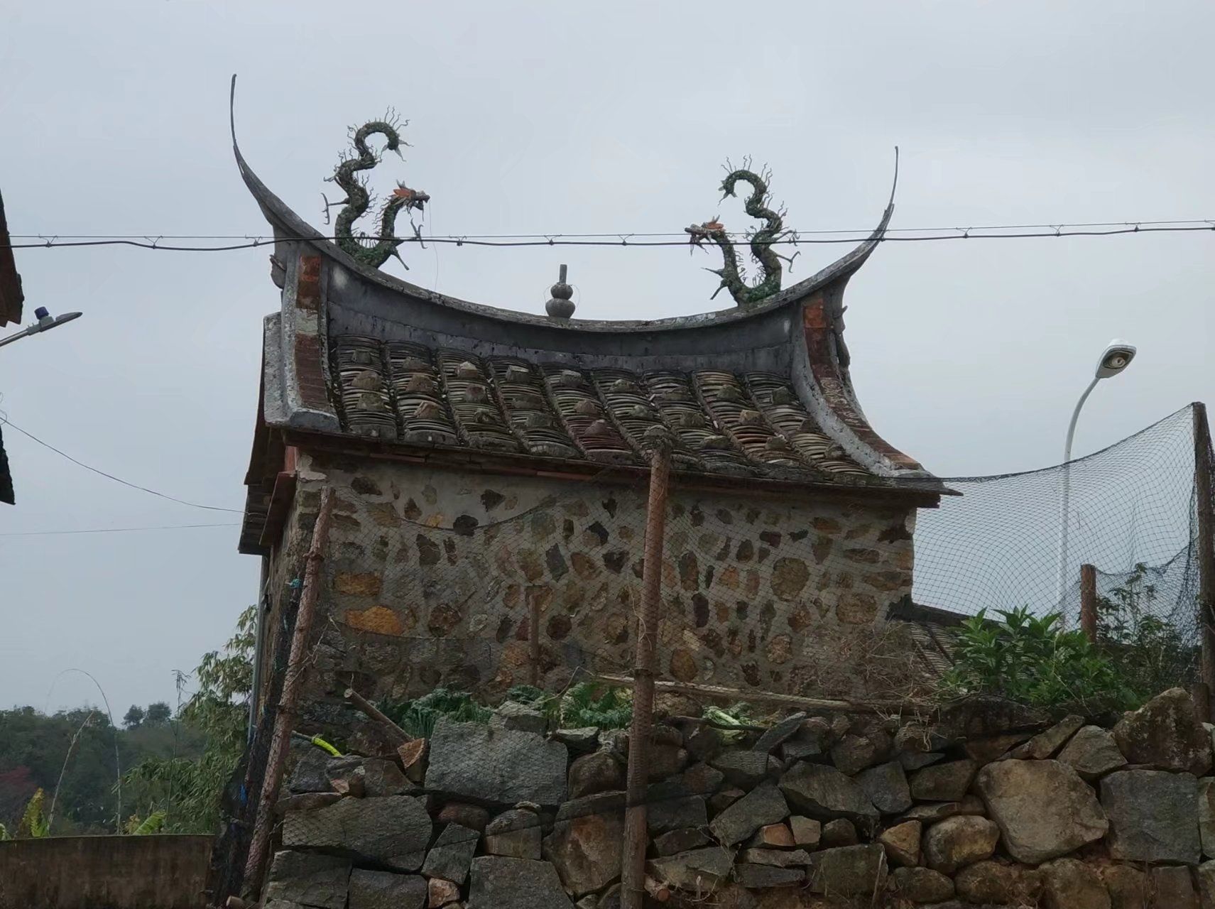 前格村花海旅行图片 2