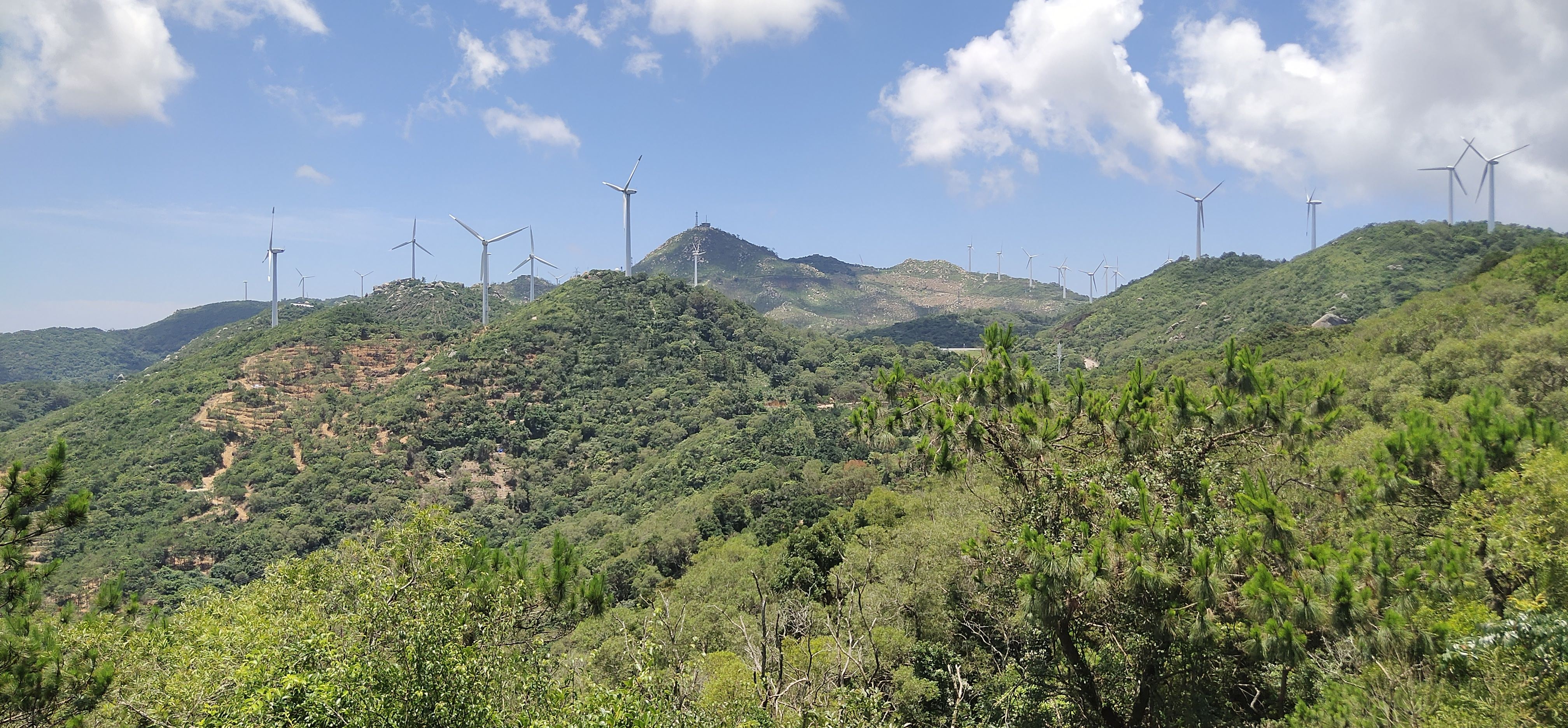 后花园生态旅游村