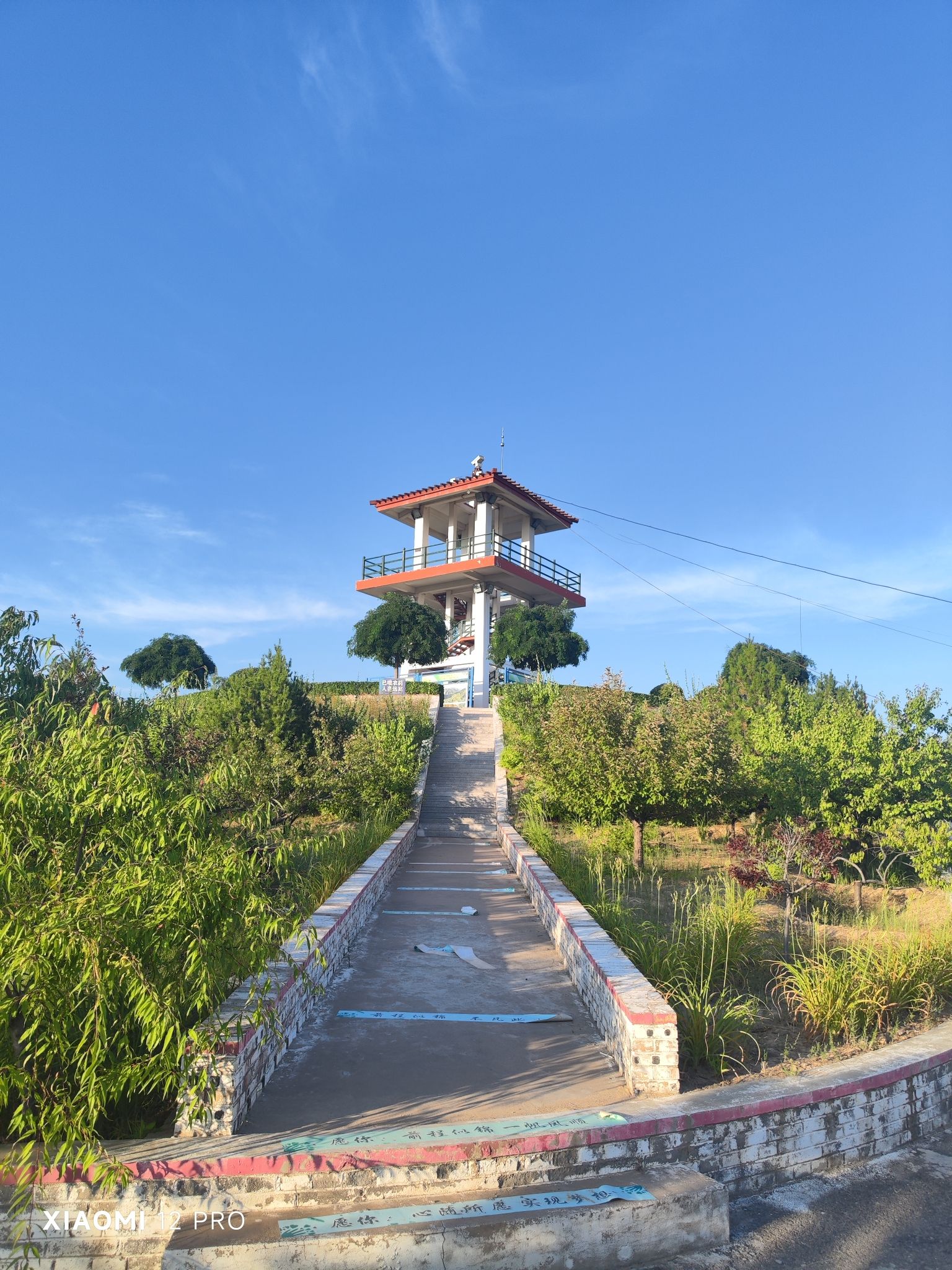 花园则顶旅行图片 2