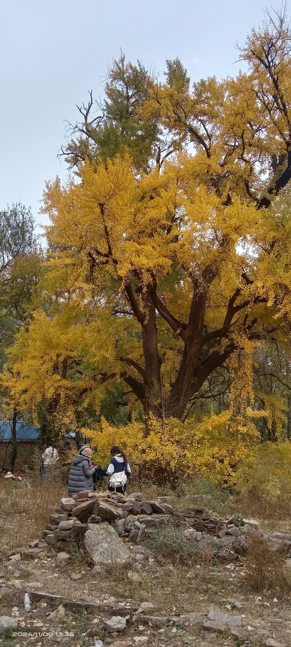 普门寺遗址旅行图片 3