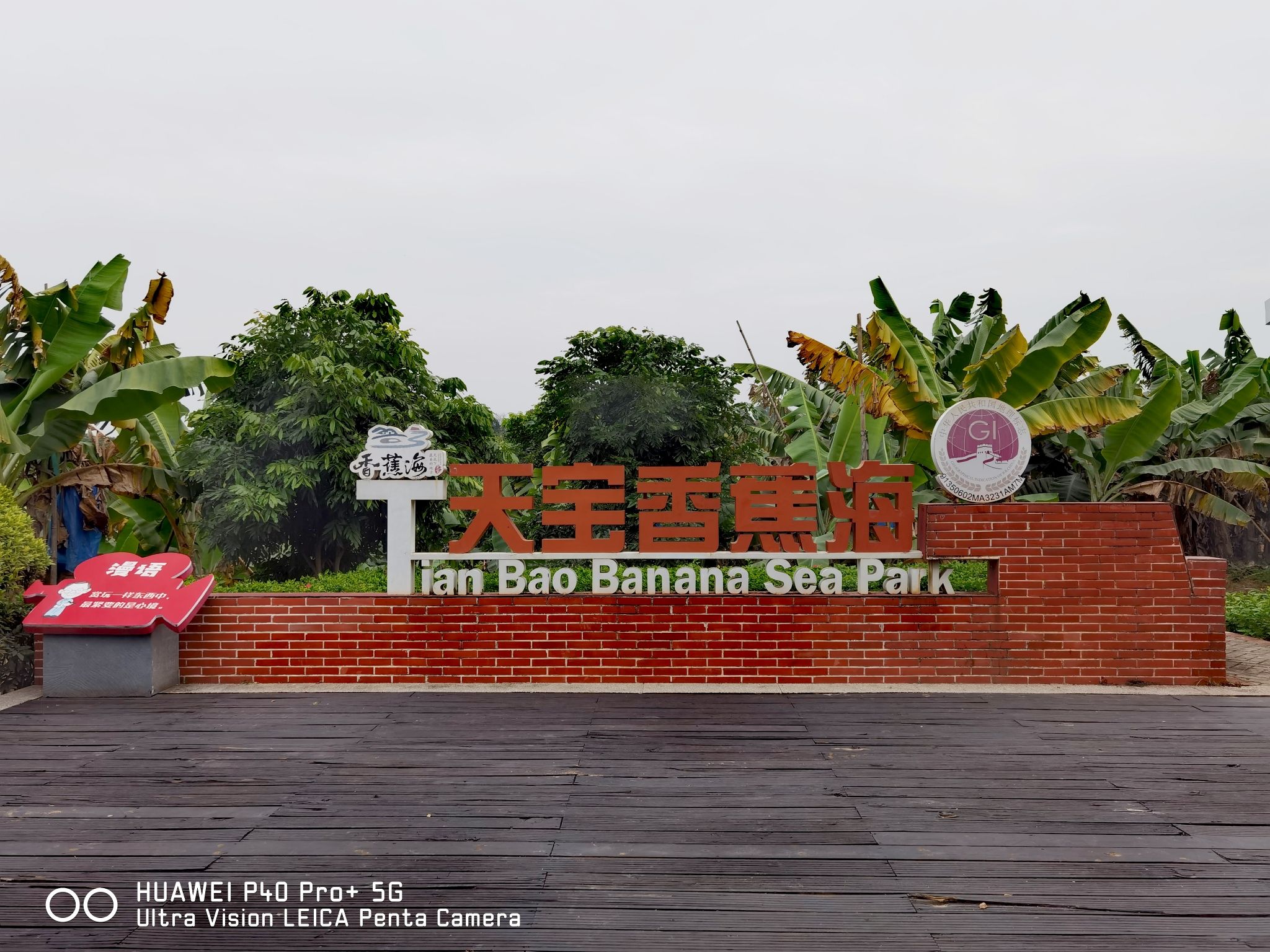 香蕉海生态公园旅行图片 1