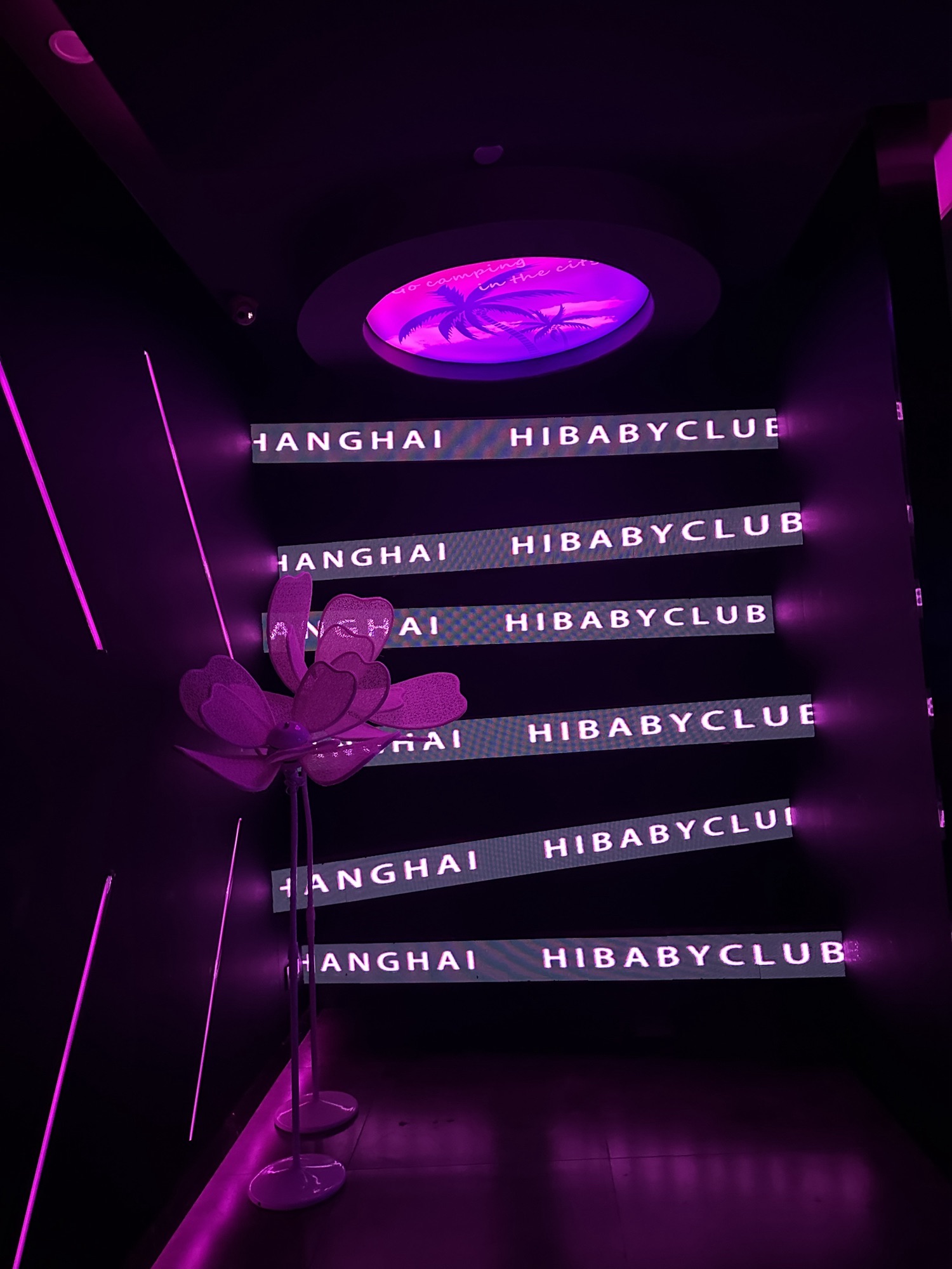 场地封面-HIBABY(阿拉城店)