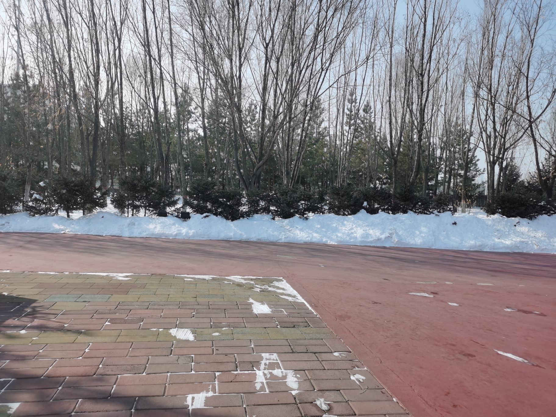 白海子湿地公园旅行图片 1