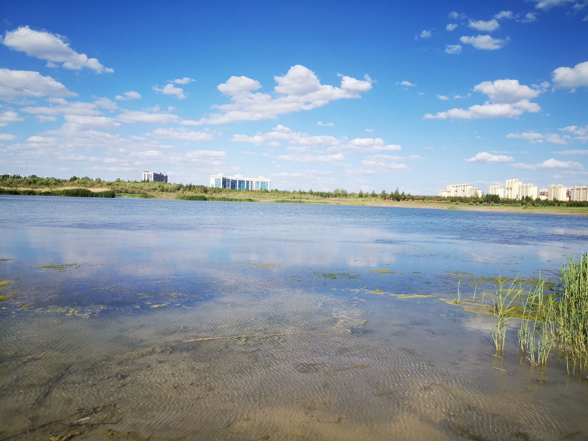 白海子湿地公园旅行图片 3