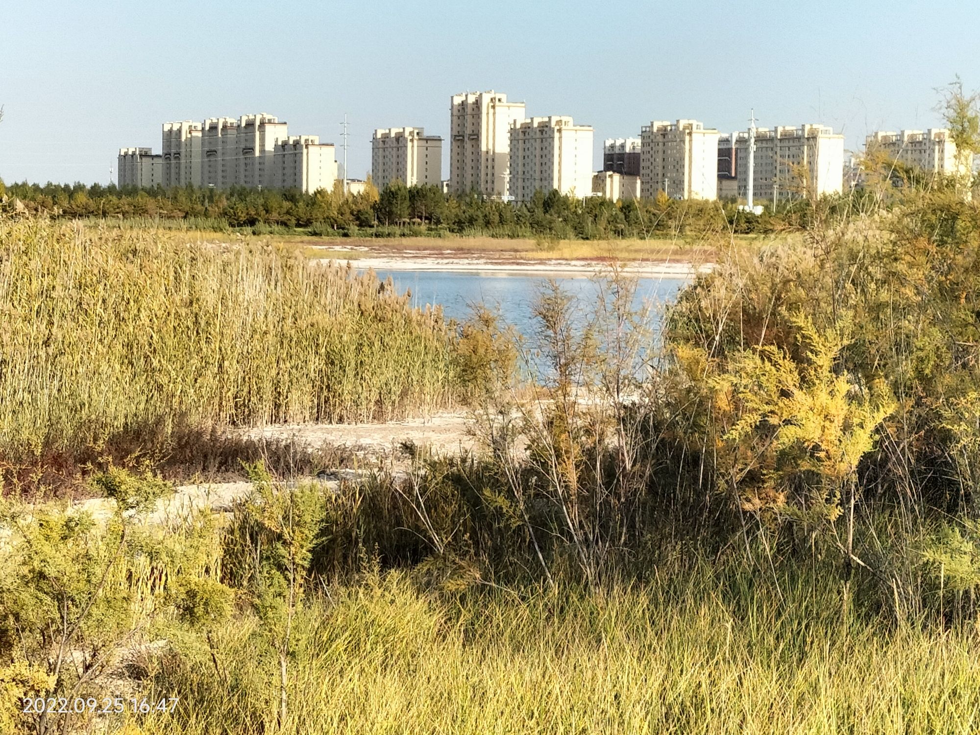白海子湿地公园旅行图片 1