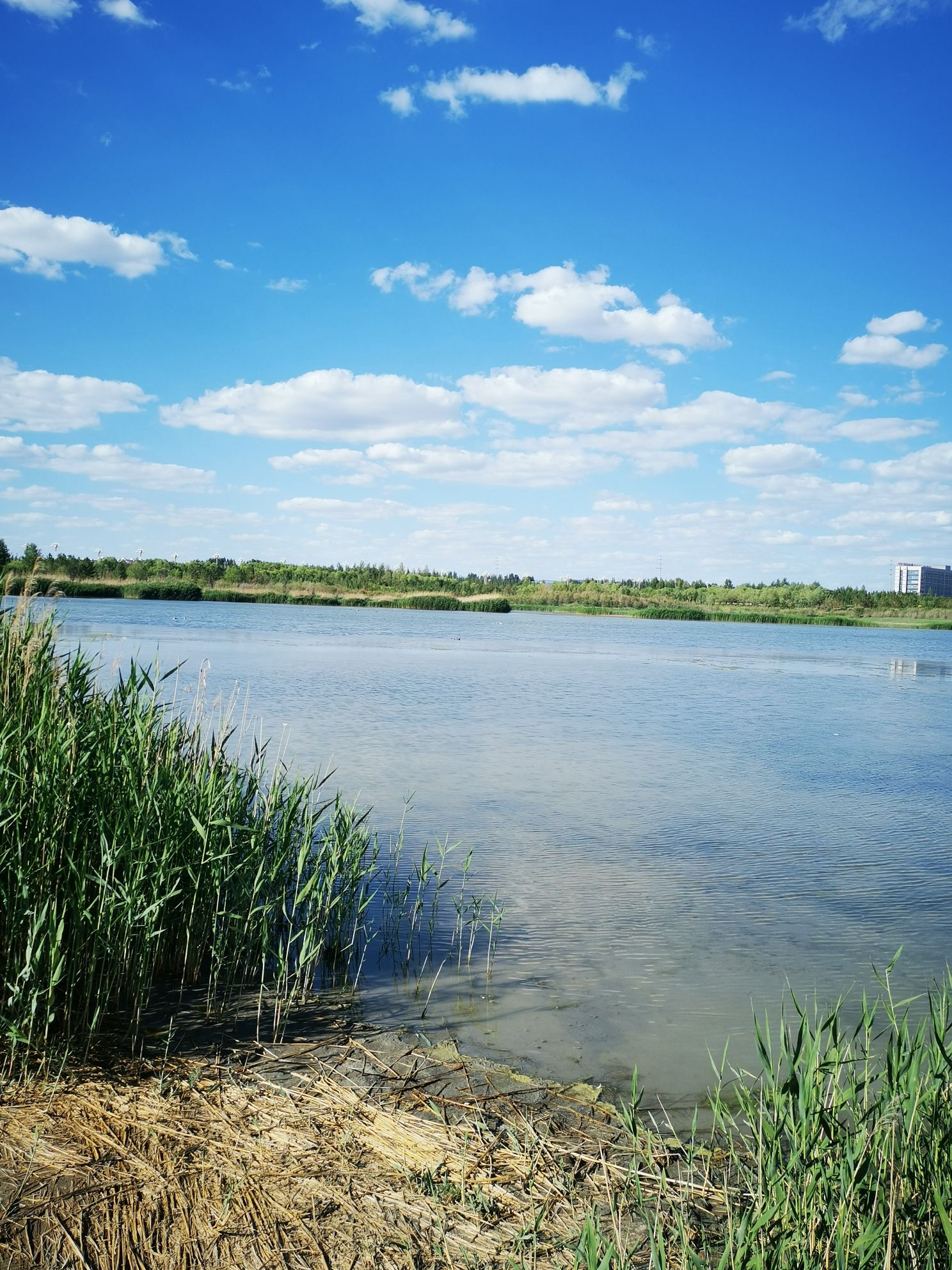 白海子湿地公园旅行图片 1
