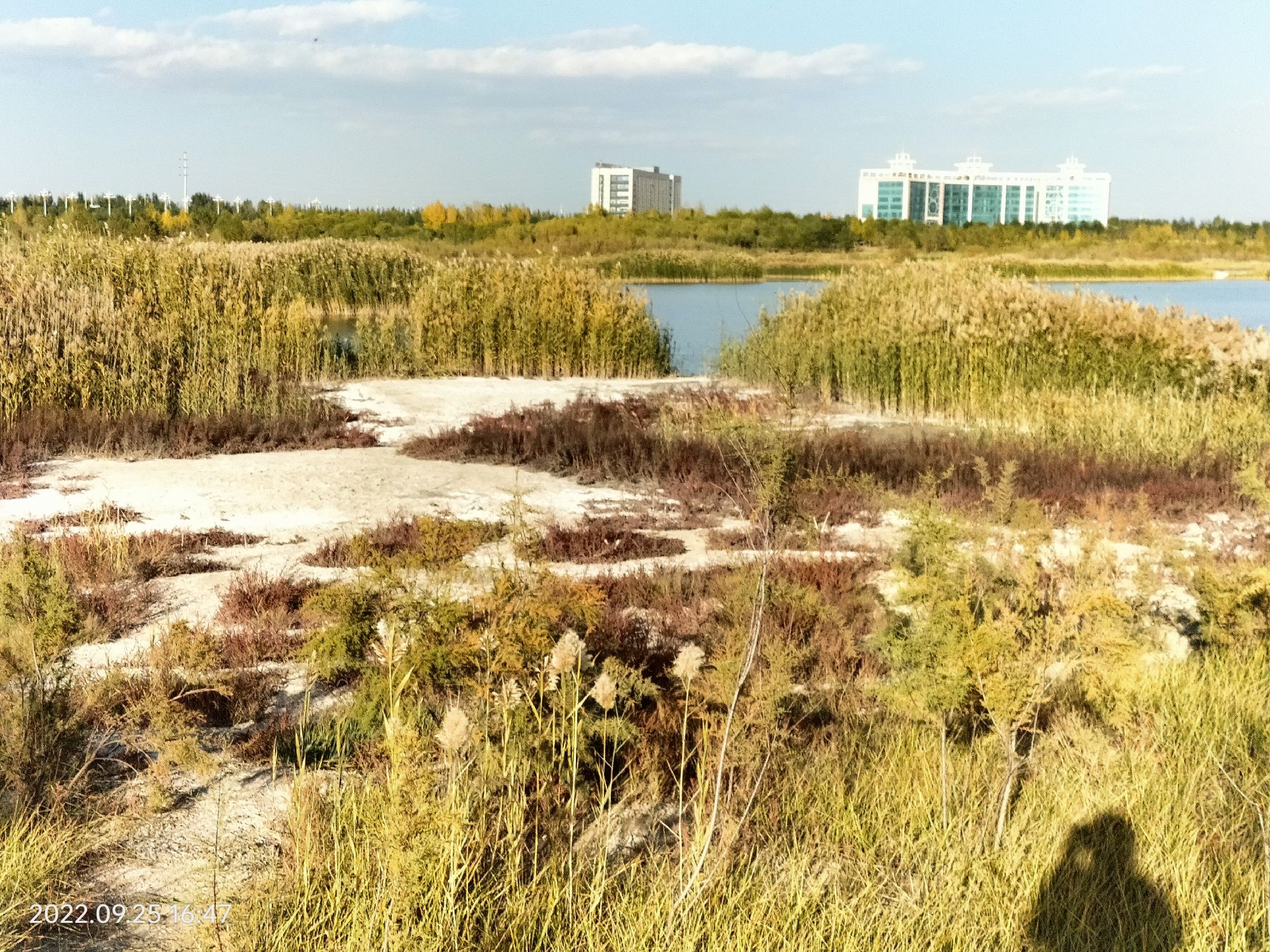 白海子湿地公园旅行图片 2