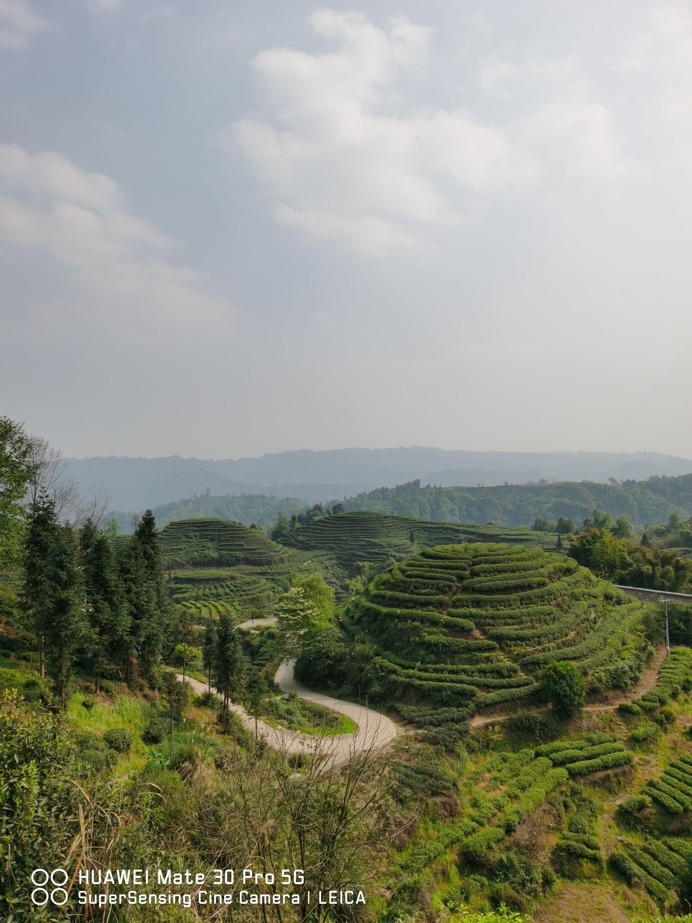 大地指纹旅行图片 2