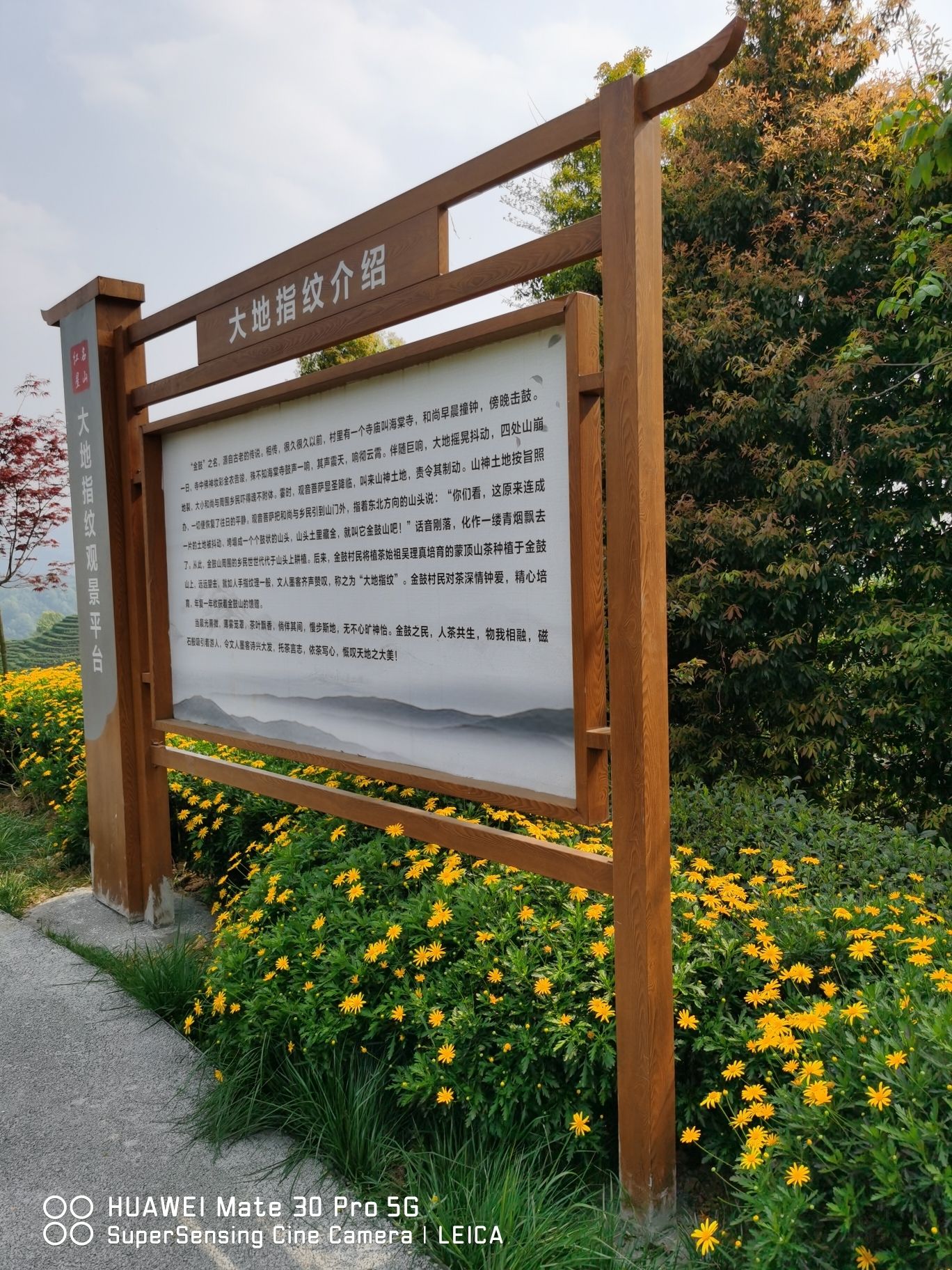 大地指纹旅行图片 1