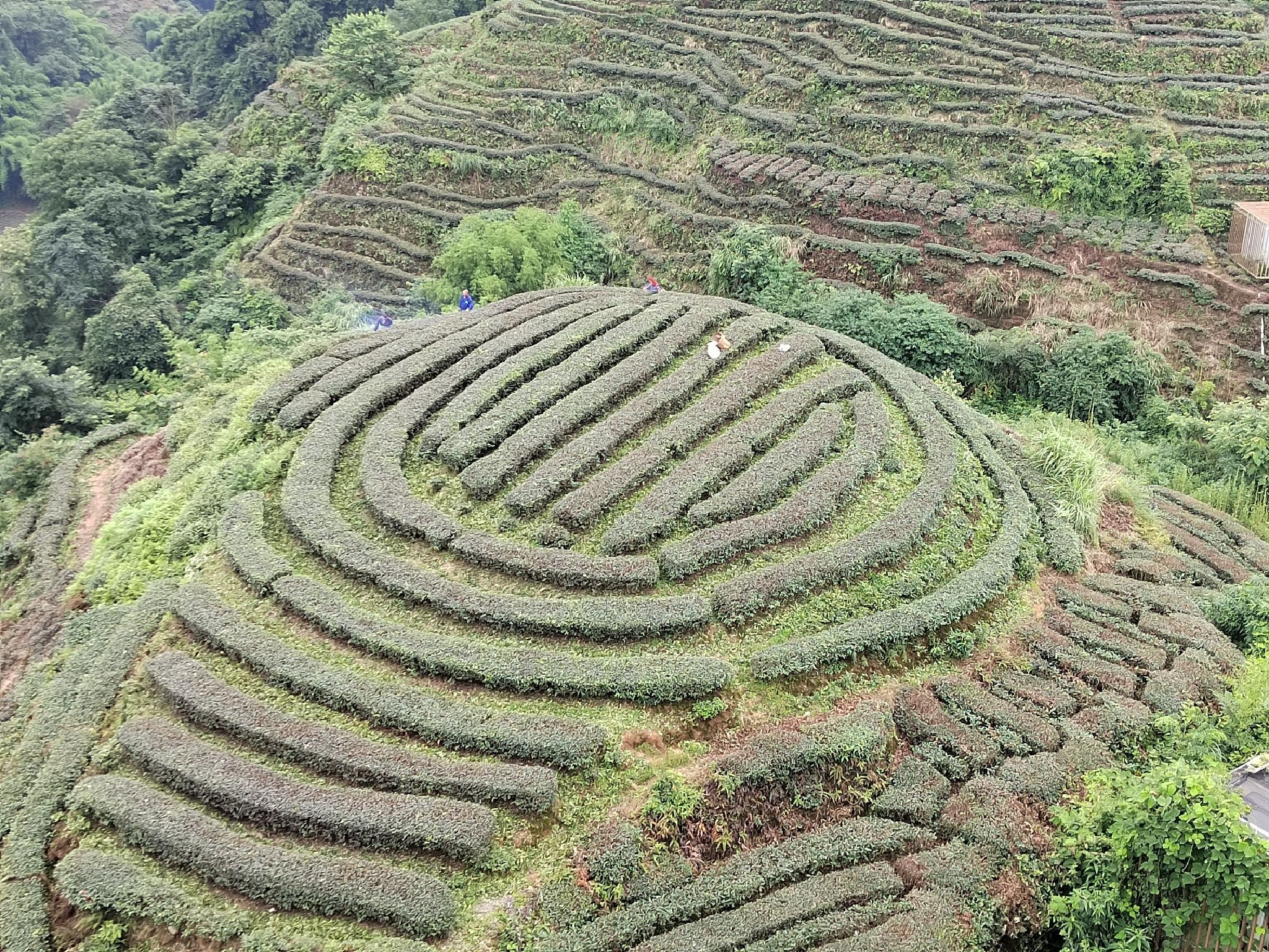 大地指纹旅行图片 3
