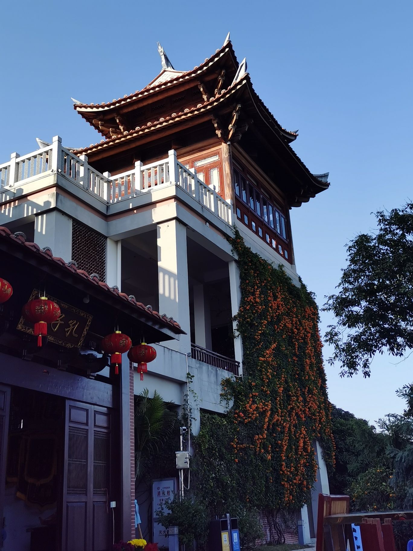漳州荔枝海生态保护公园旅行图片 2