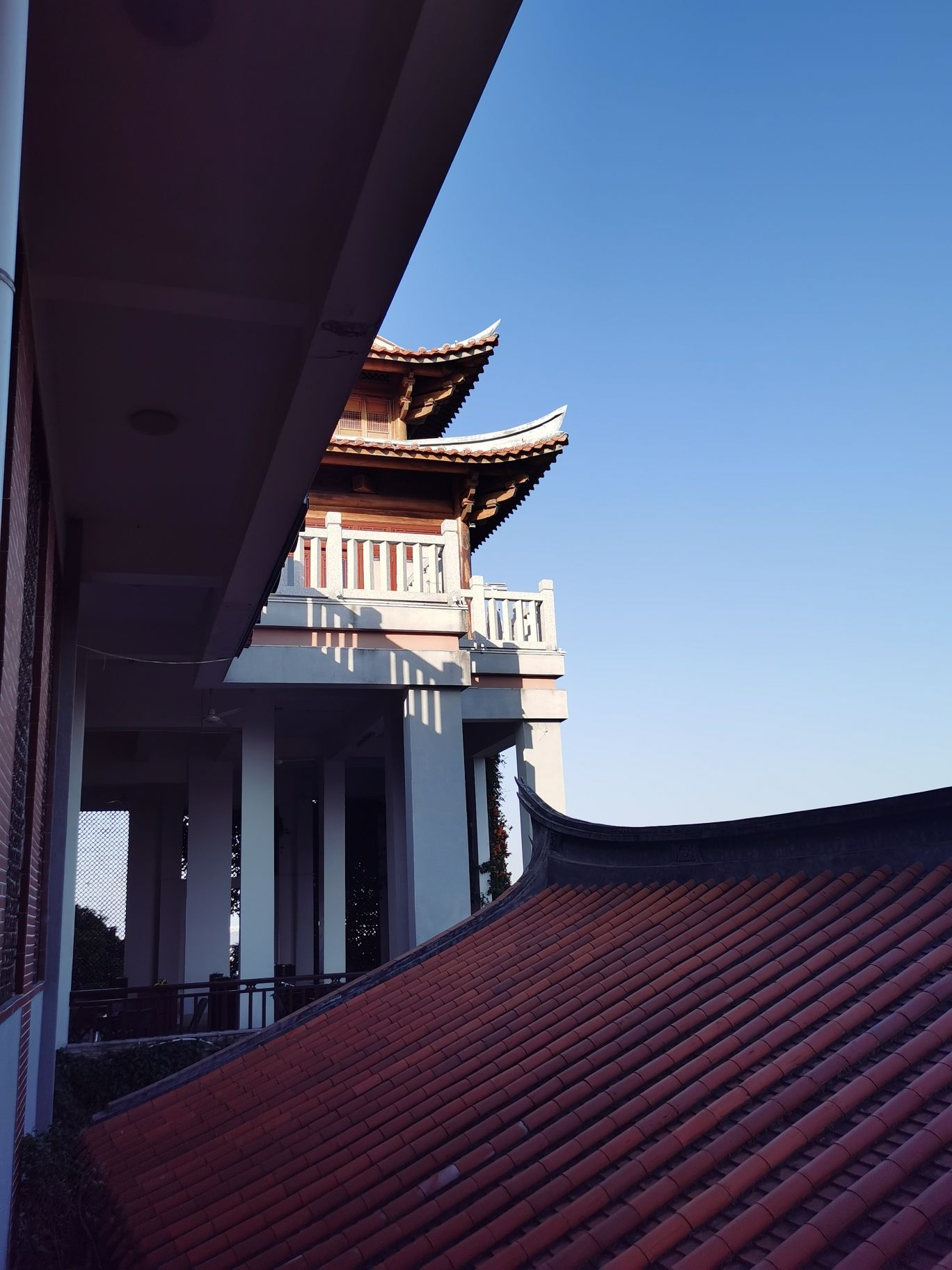 漳州荔枝海生态保护公园旅行图片 3