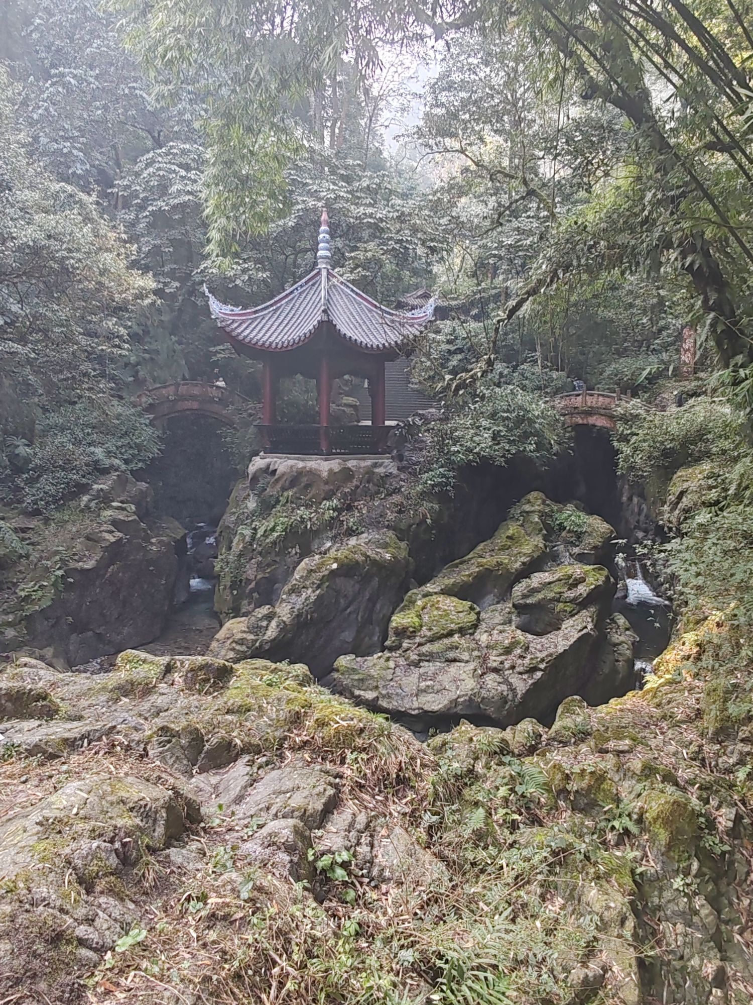 春晖亲子公园旅行图片 3