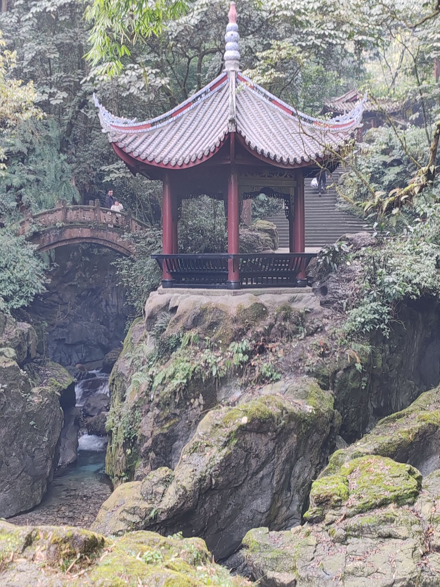 春晖亲子公园旅行图片 2