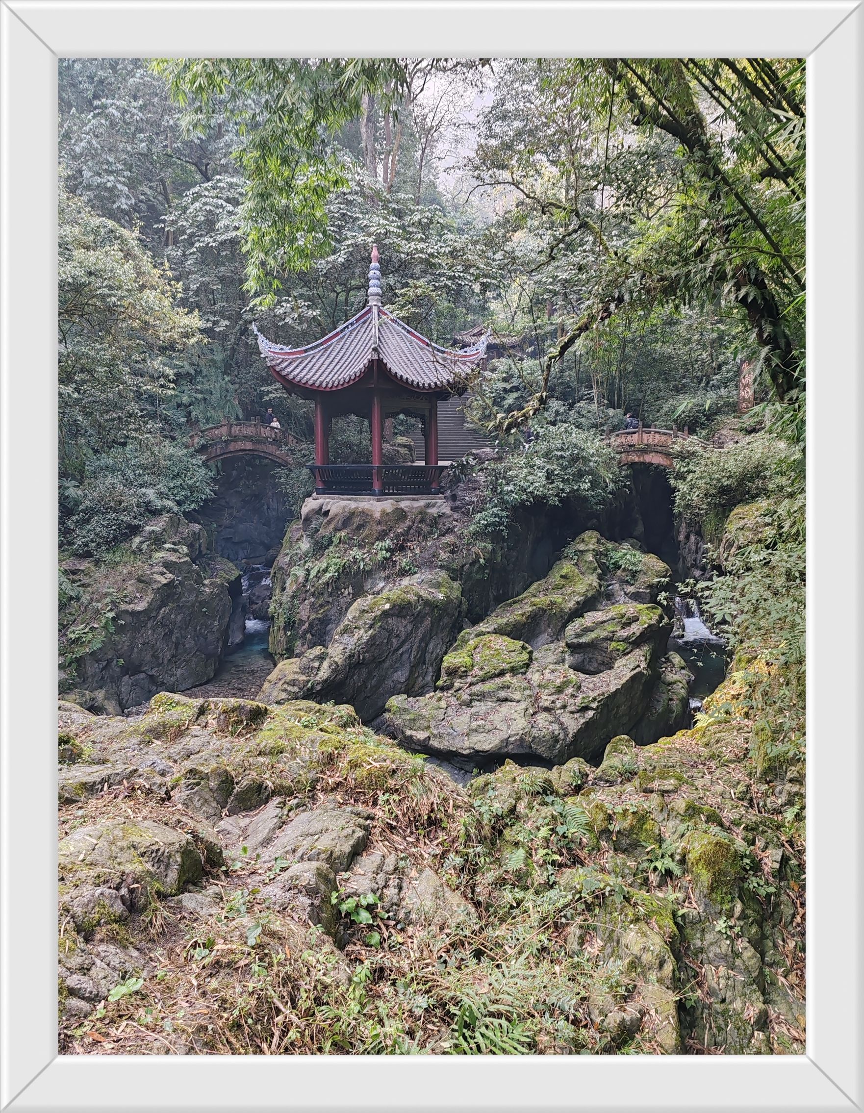 春晖亲子公园旅行图片 1