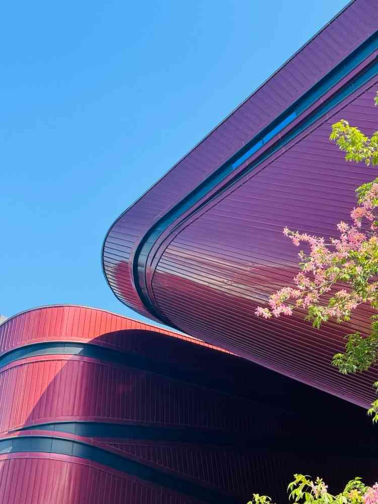 深圳·红立方旅行图片 2