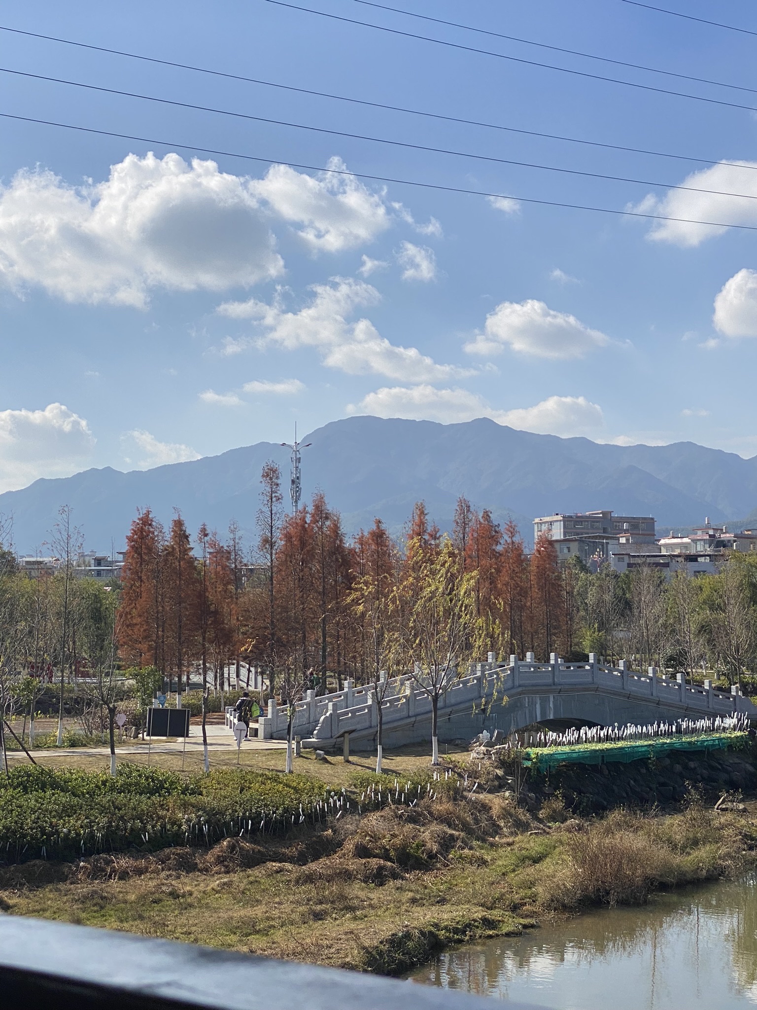 武平县平桥翠柳城市公园旅行图片 2