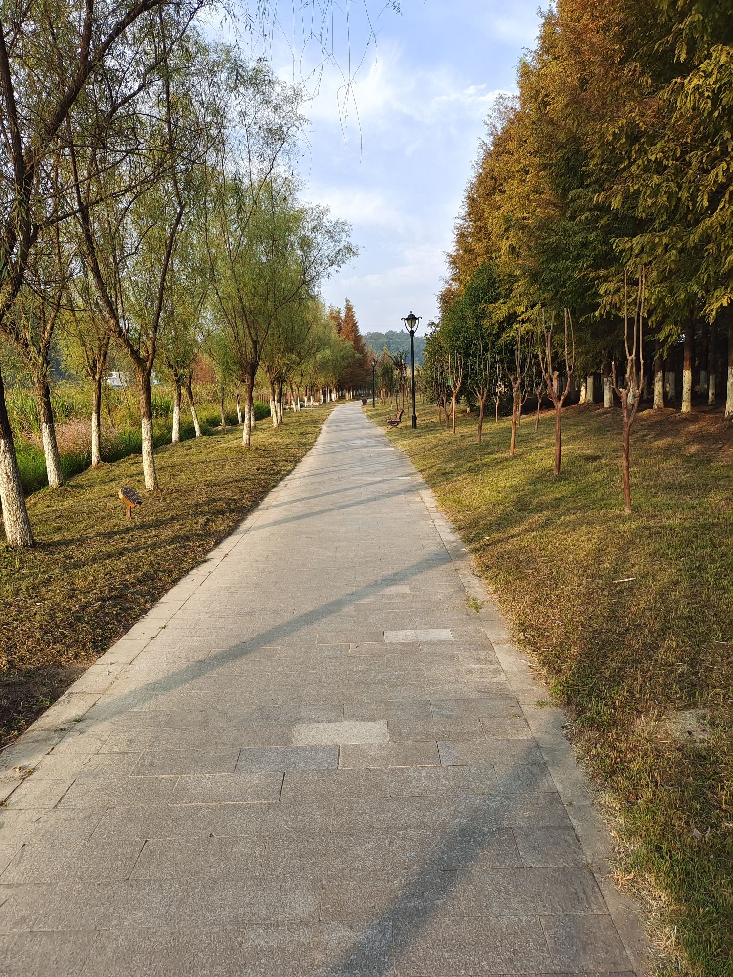 横江公园旅行图片 1