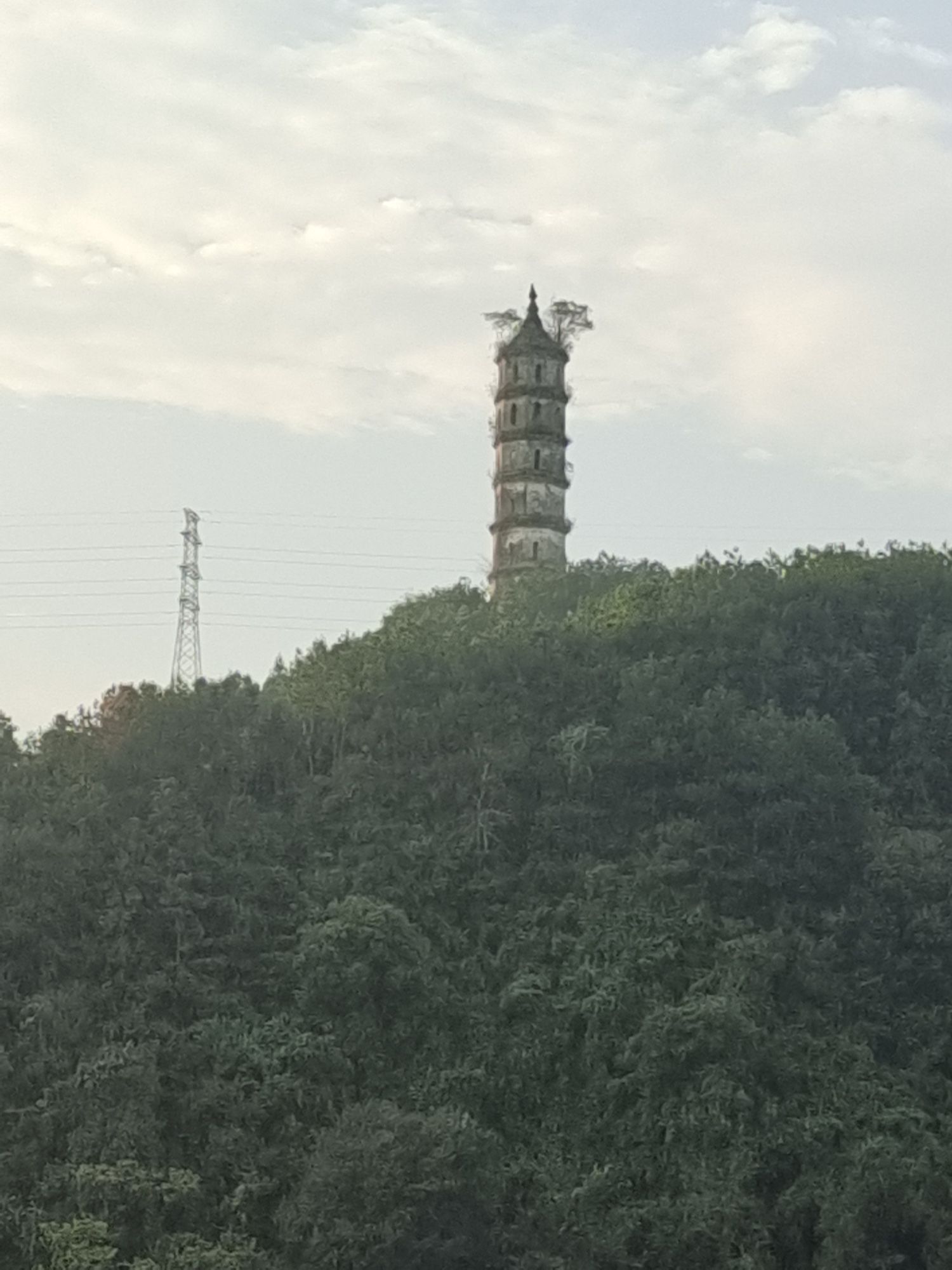 横江公园旅行图片 3