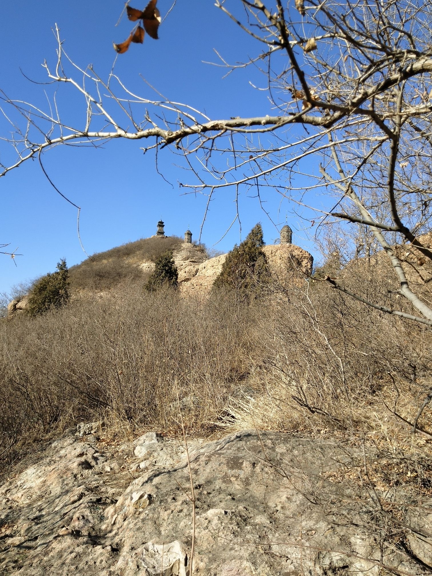 八塔子塔旅行图片 2