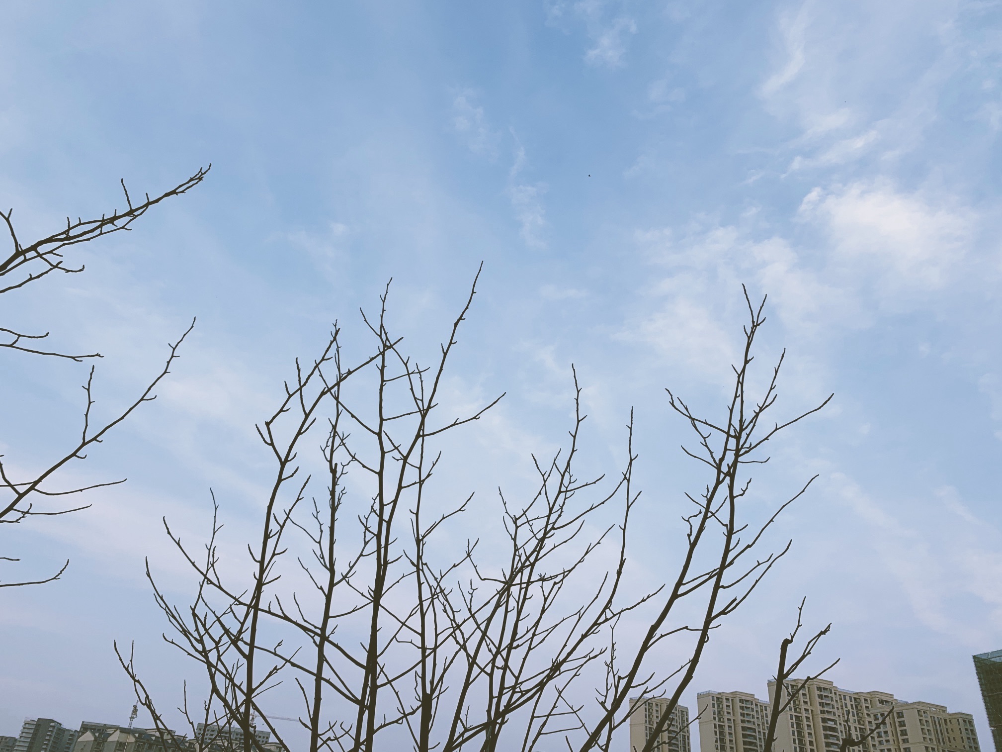 天心滨江公园旅行图片 1