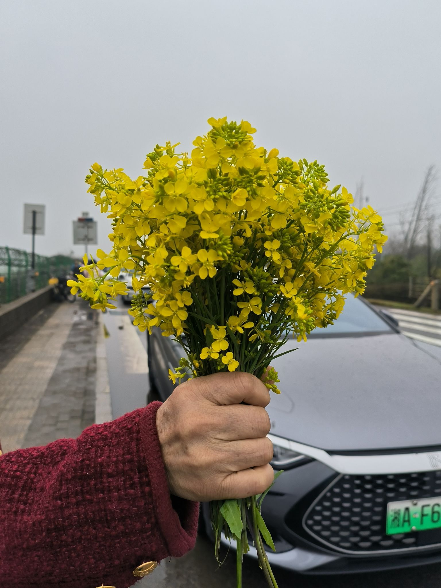 天心滨江公园旅行图片 3