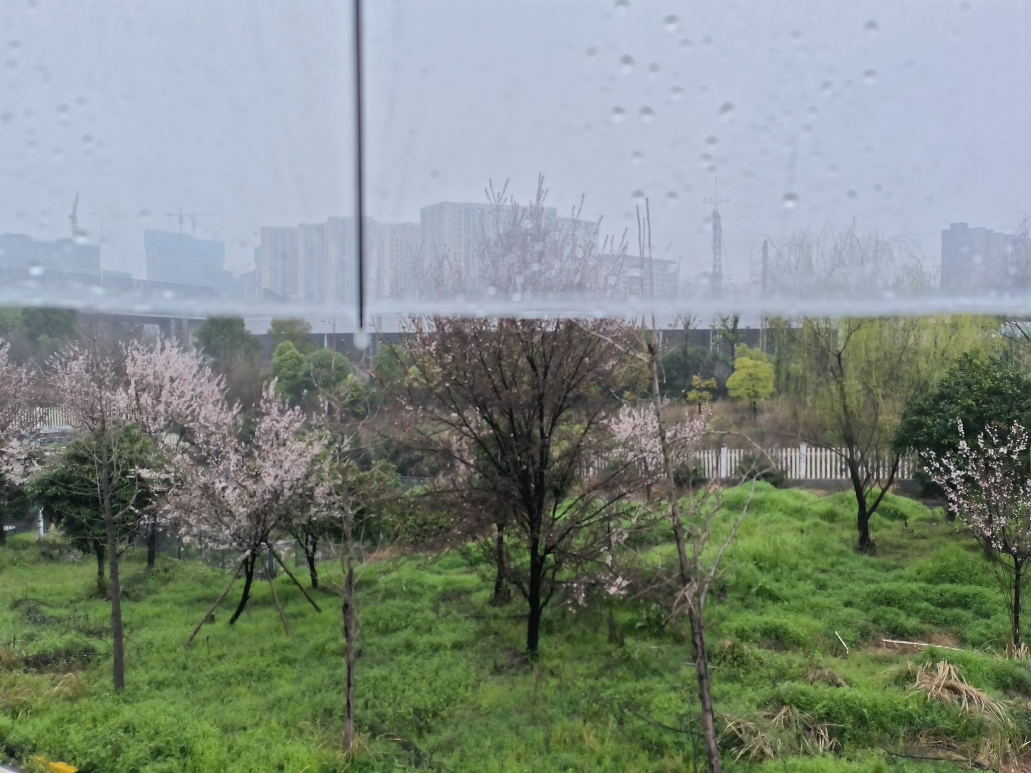 天心滨江公园旅行图片 1