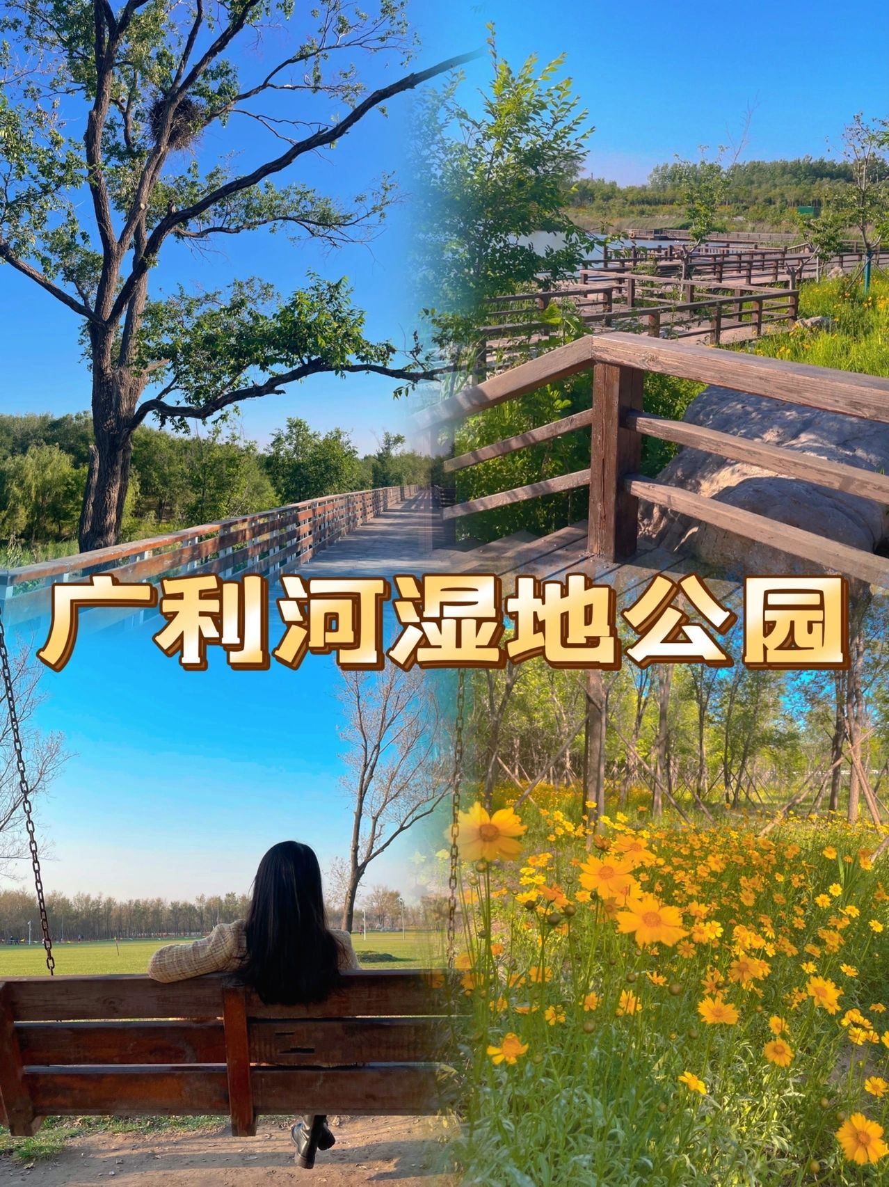 广利河森林湿地公园旅行图片 1