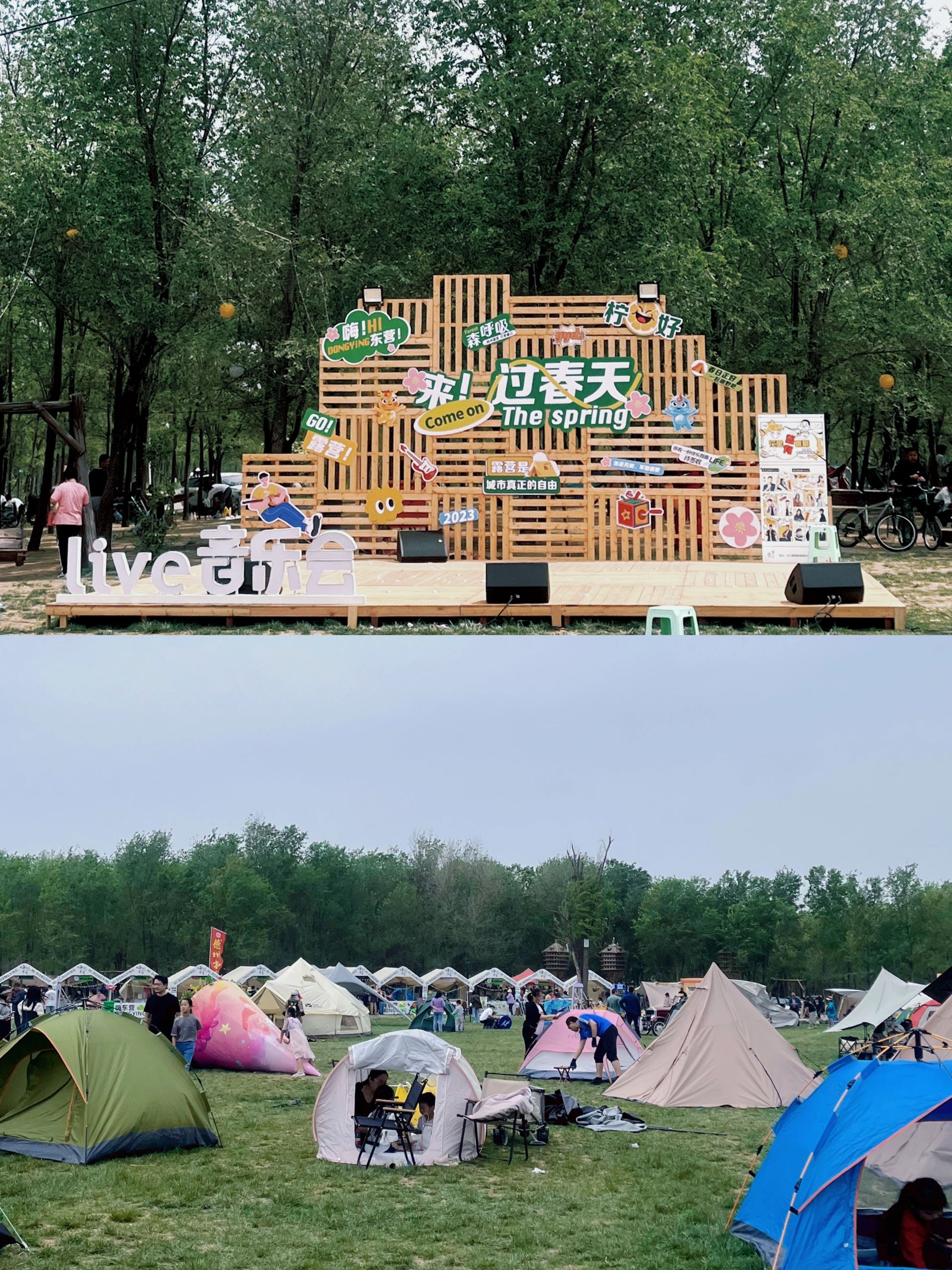 广利河森林湿地公园旅行图片 3