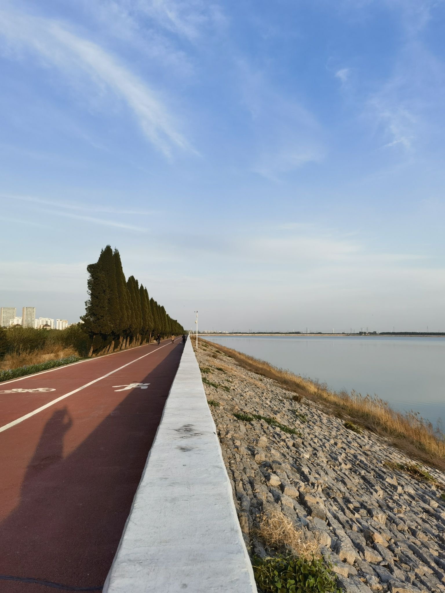 广利河森林湿地公园